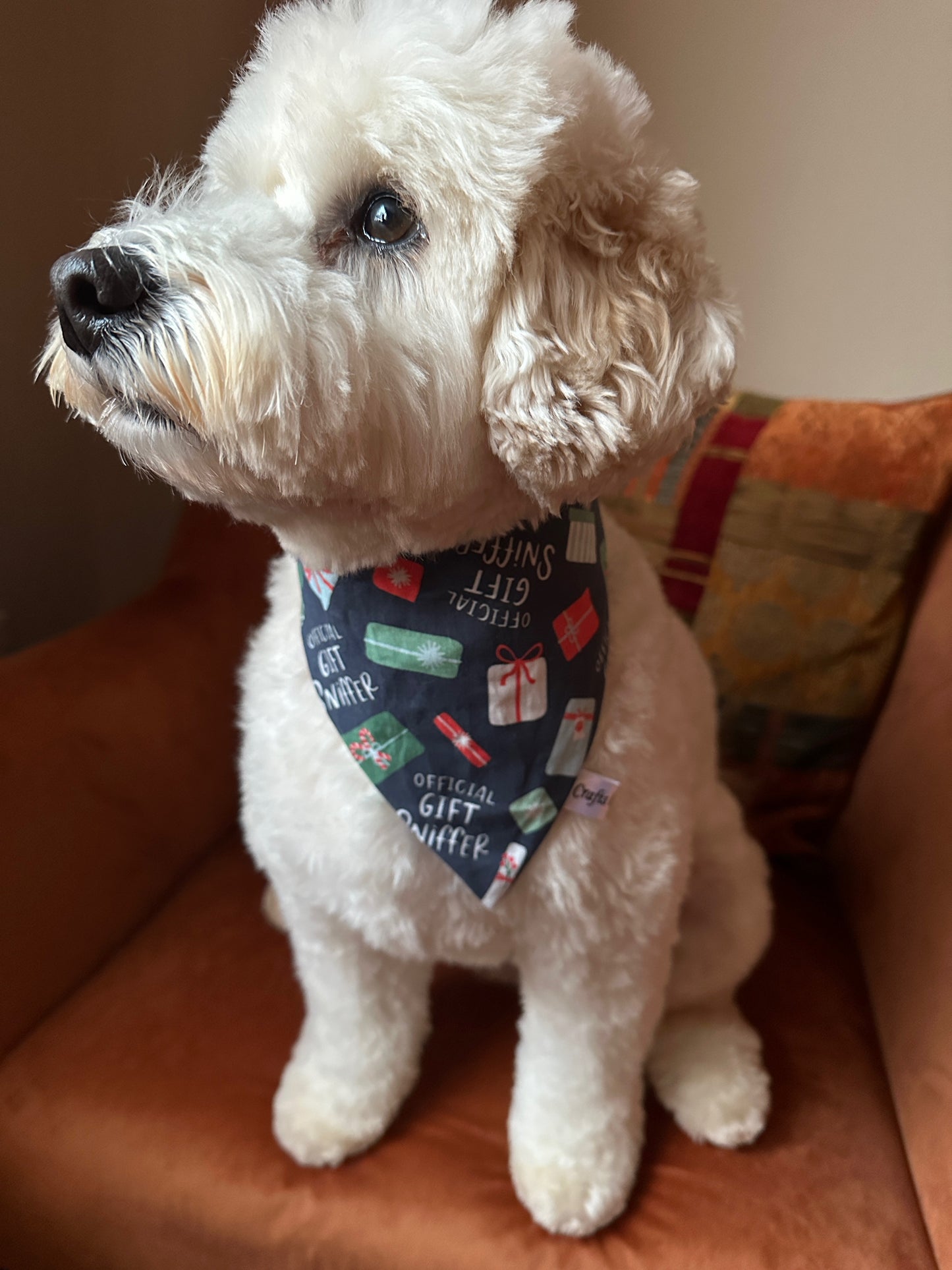 Cotton Pet Scrunchie Bandana - Official Present Sniffer
