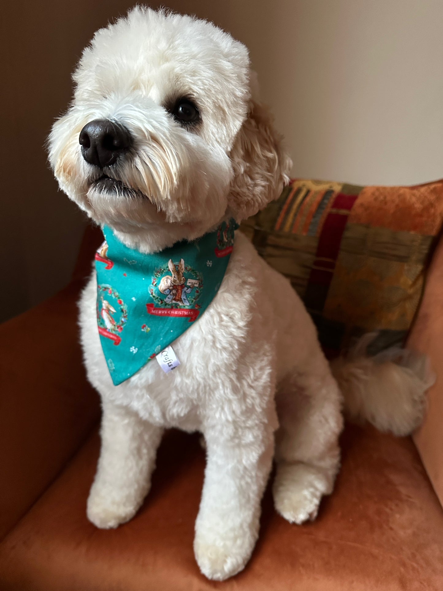 Cotton Pet Scrunchie Bandana - Peter Rabbit's Christmas
