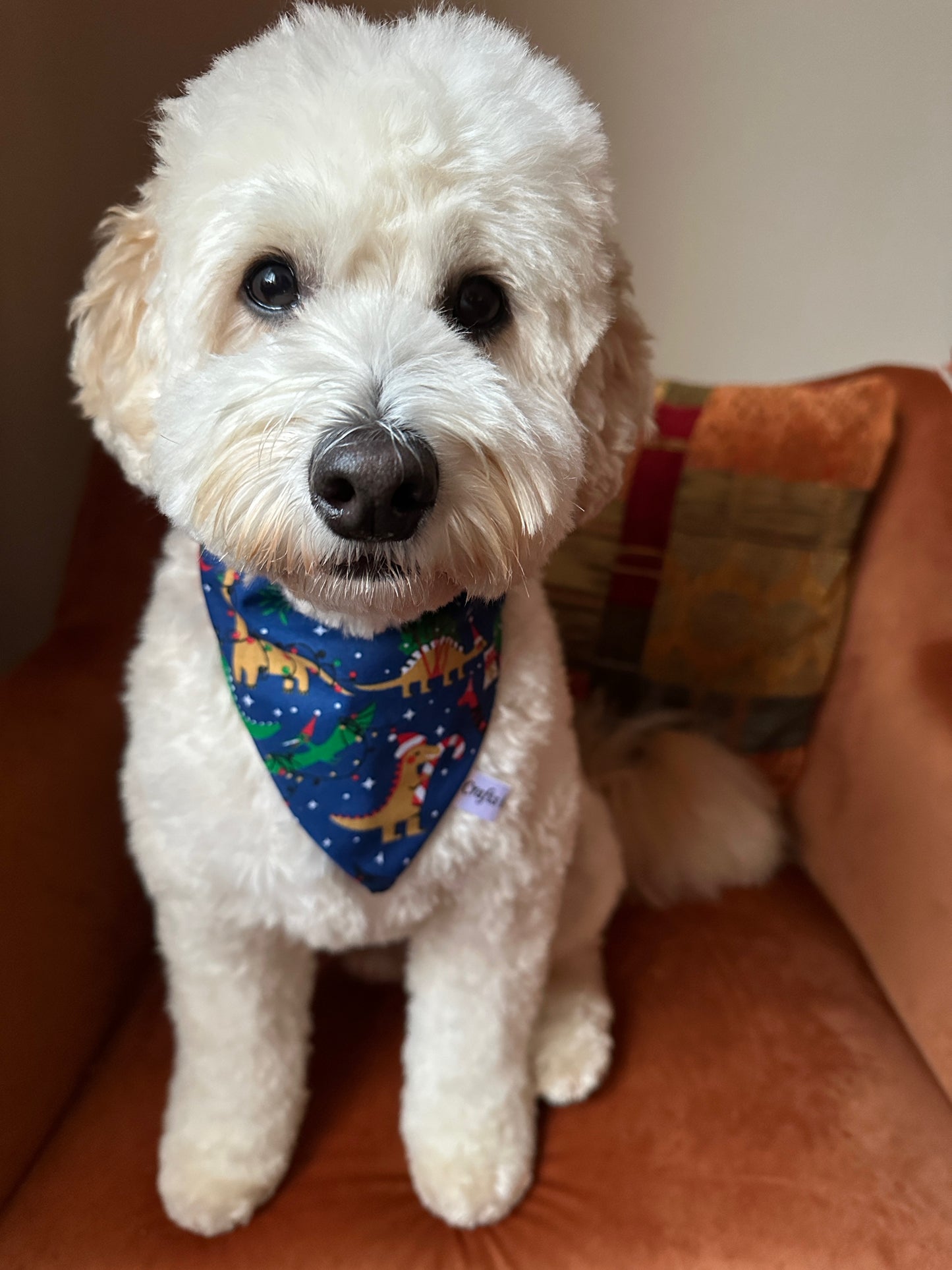 Cotton Pet Scrunchie Bandana - Christmas Dinosaur