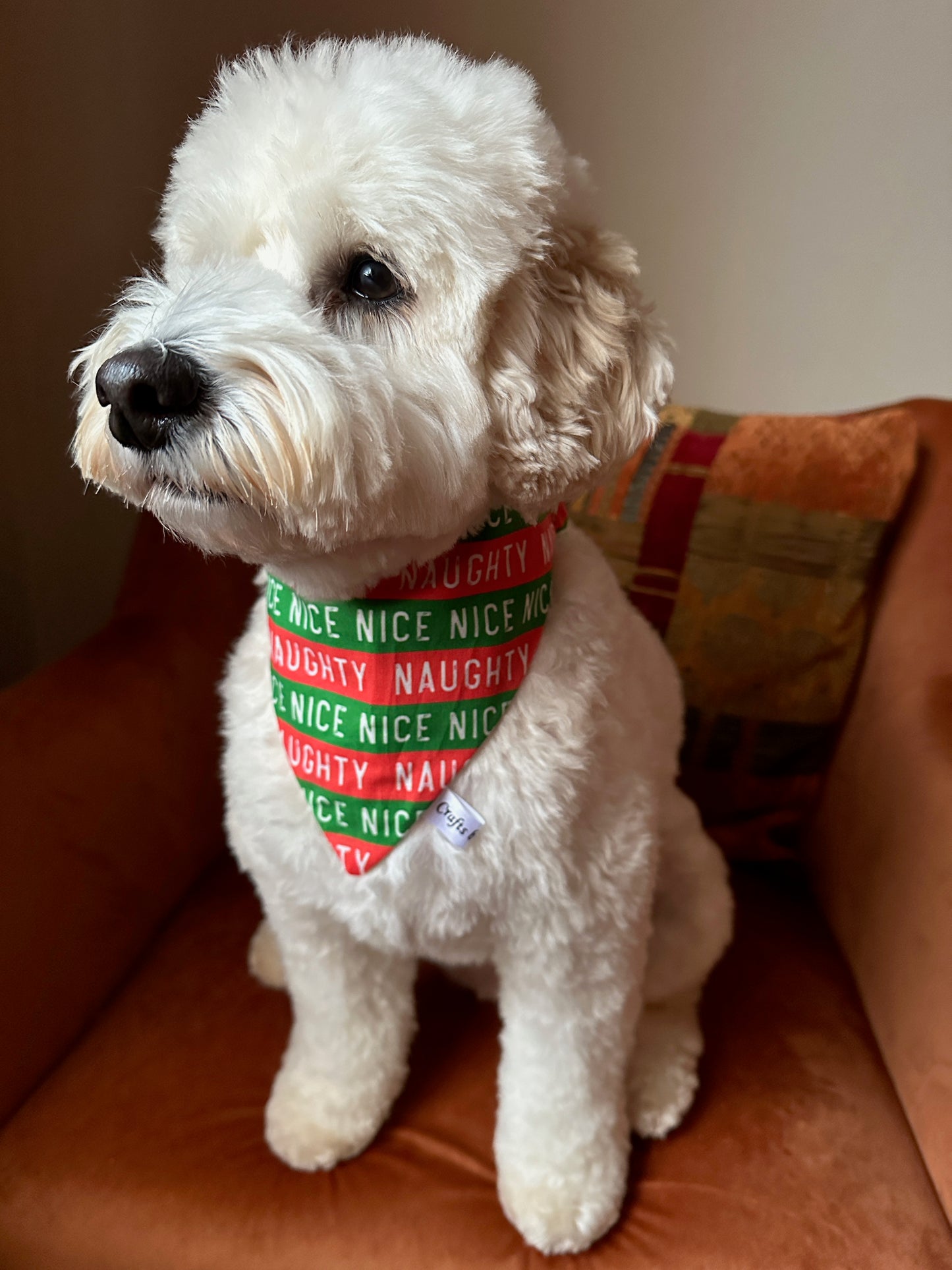 Cotton Pet Scrunchie Bandana - Naughty & Nice