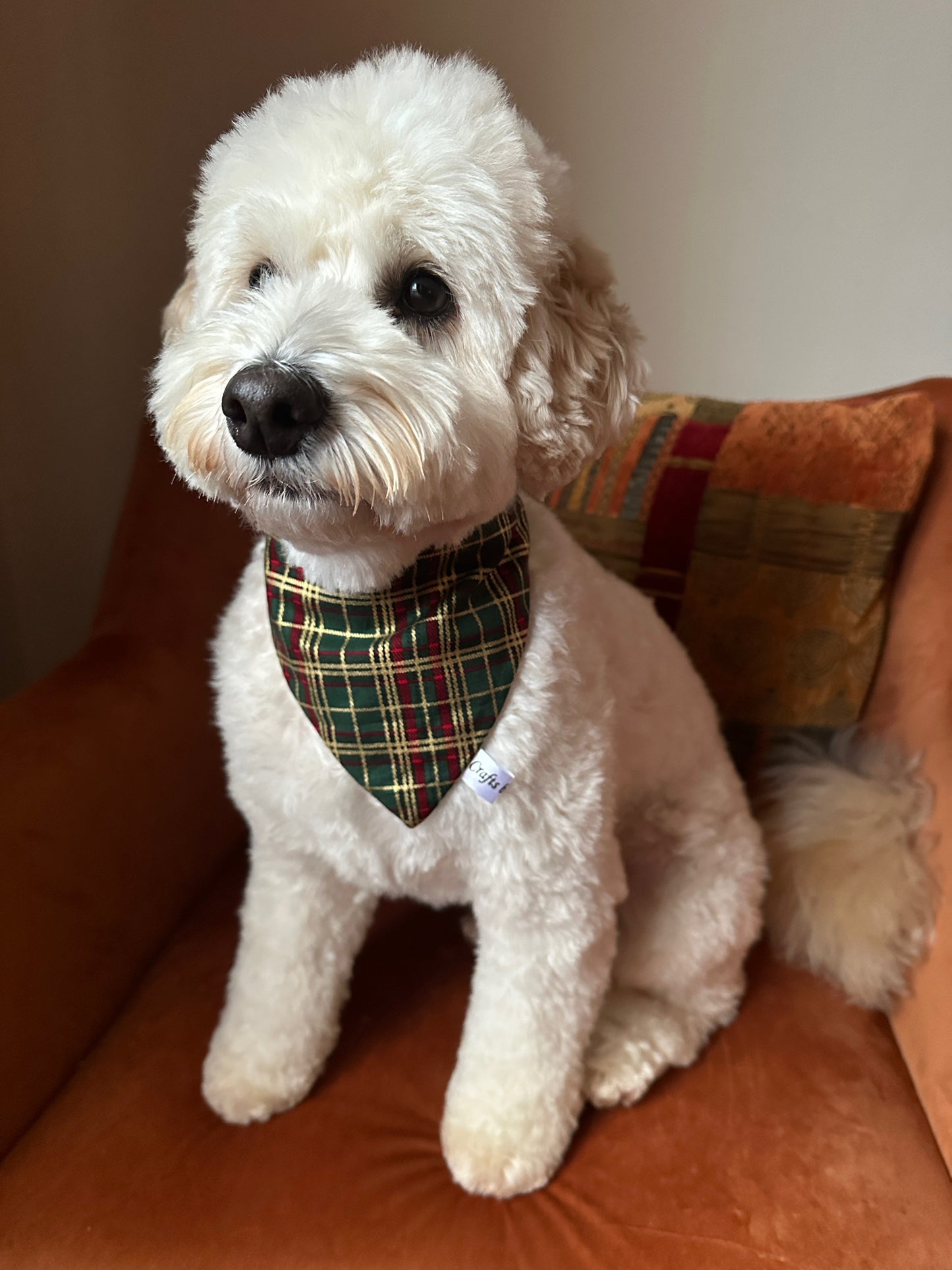 Cotton Pet Scrunchie Bandana - Green & Gold Tartan