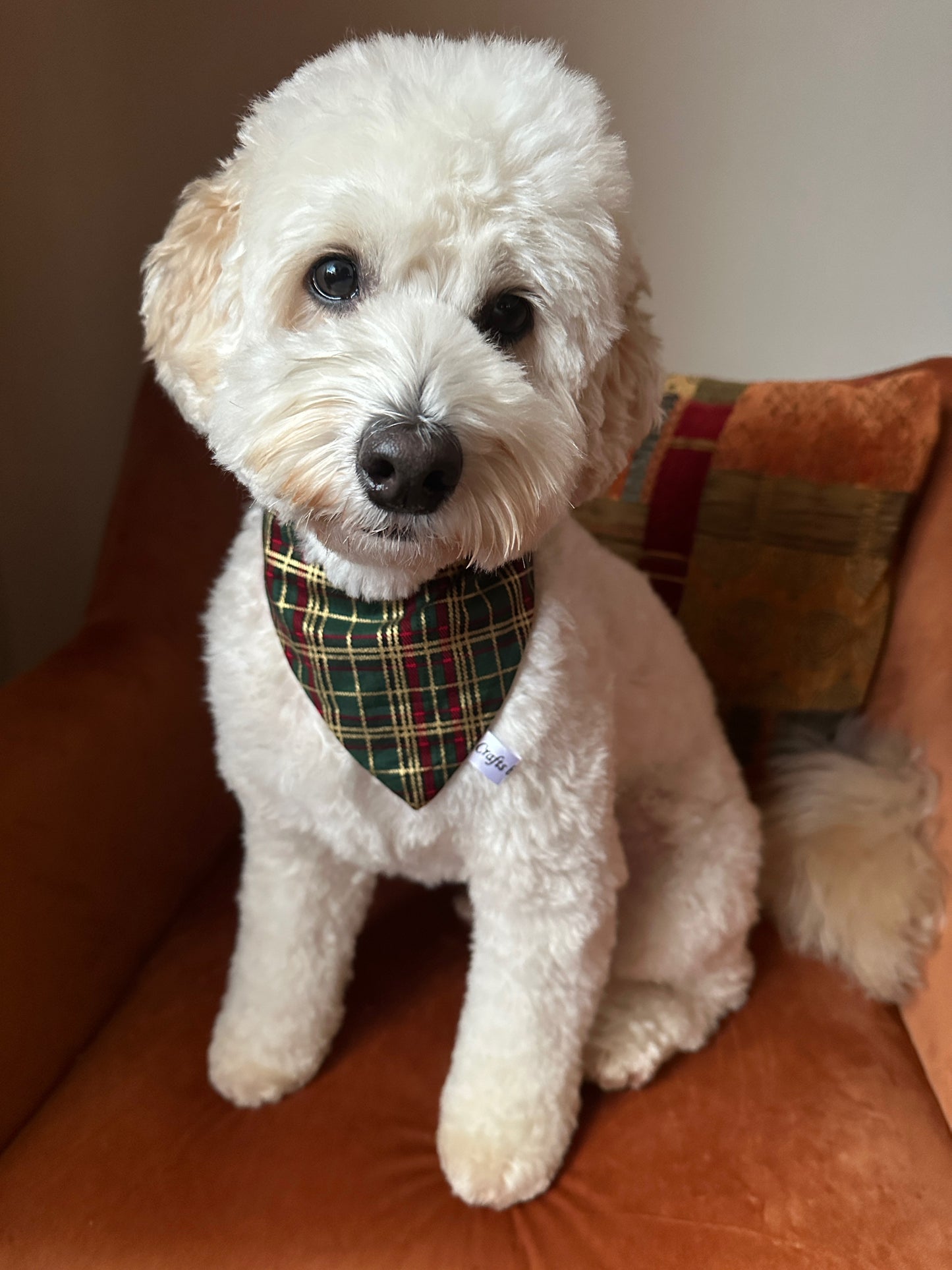 Cotton Pet Scrunchie Bandana - Green & Gold Tartan