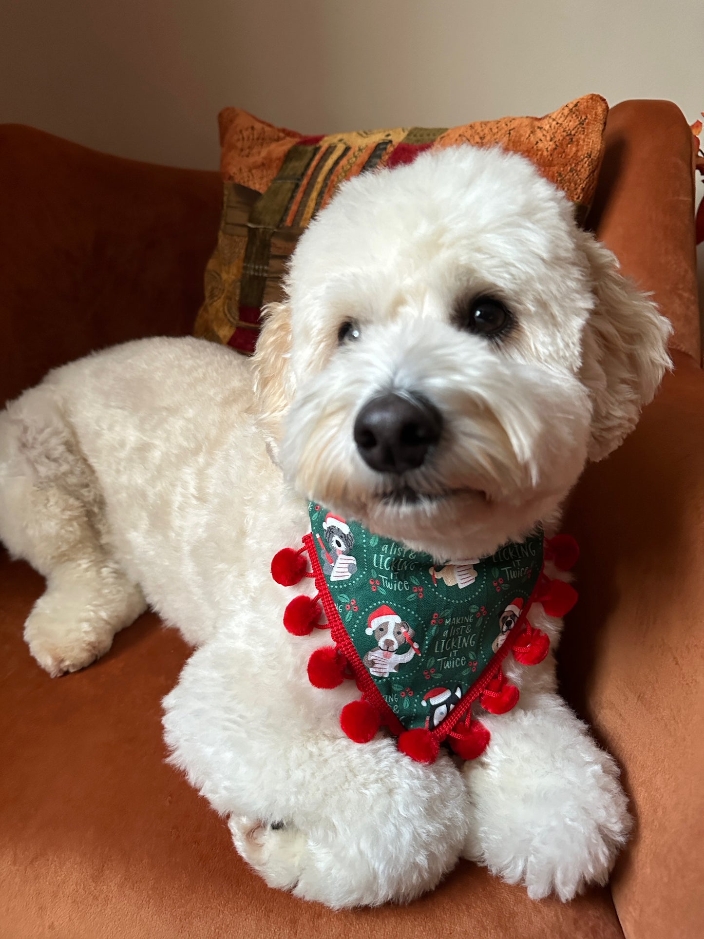 A fluffy white dog lounges contentedly on a rust-colored chair, wearing the Crafts by Kate “Licked it Twice” Cotton Pet Bandana with collar attachment—green with snowmen and red pom-poms.