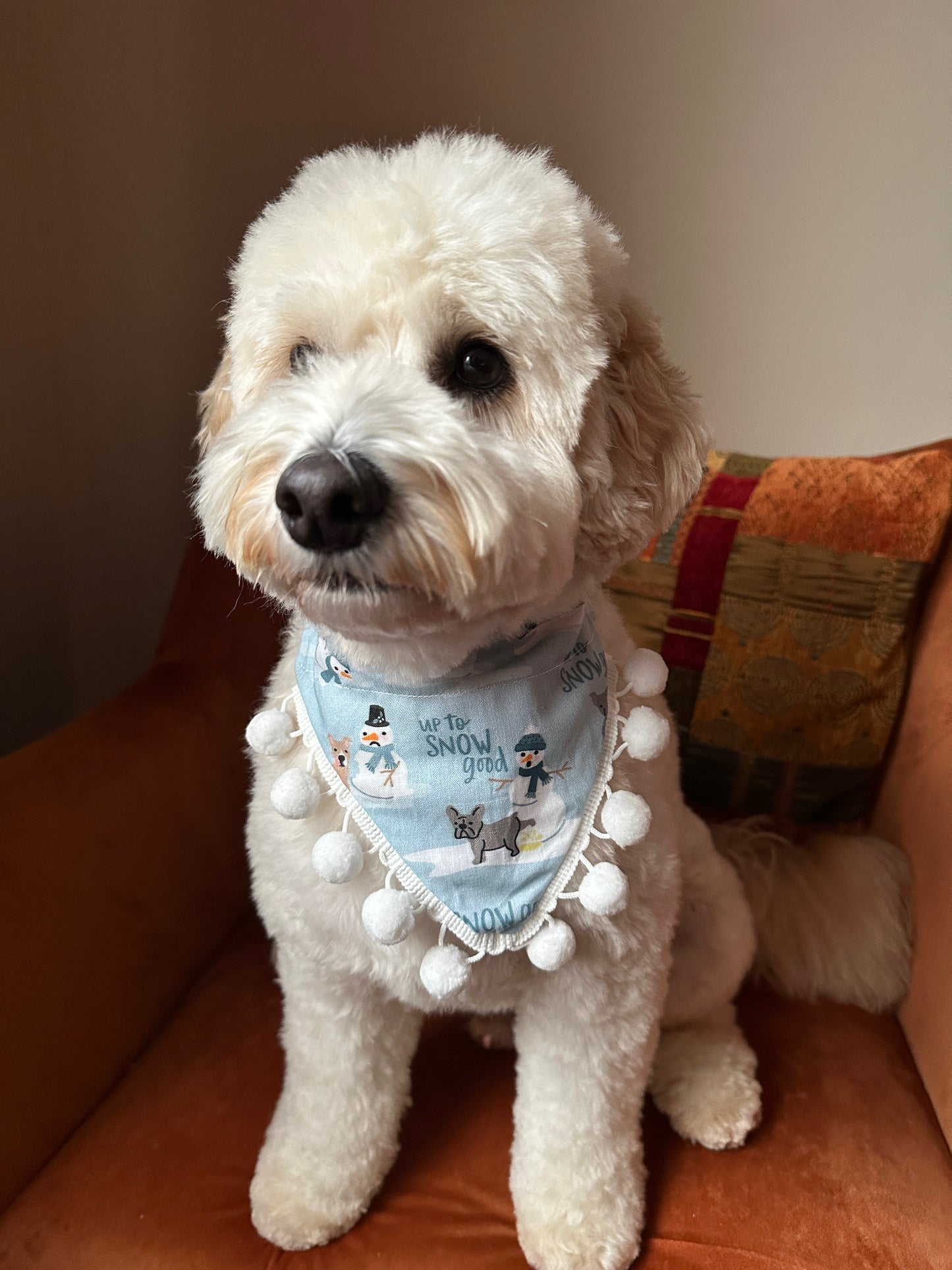 A fluffy white dog with curly fur sits on an orange chair, wearing the Crafts by Kate Cotton Pet Bandana with collar attachment—Up to Snow-good, featuring snowmen and white pom-poms. A patterned pillow adds charm in the background.
