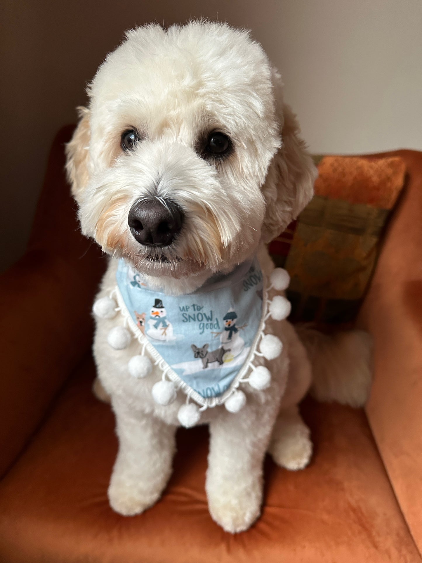 A fluffy white dog sits on an orange chair, wearing the "Up to Snow-good" Cotton Pet Bandana with collar attachment by Crafts by Kate. The handcrafted bandana features snowmen and white pom-pom trim in a cozy indoor setting.
