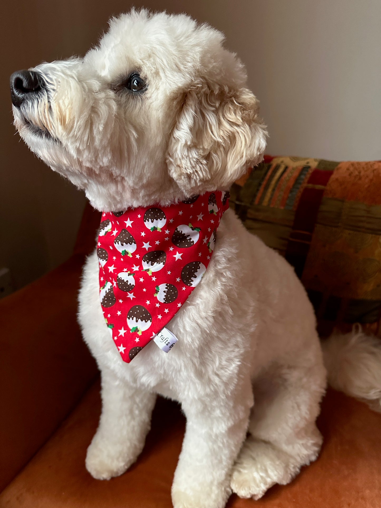 Cotton Pet Scrunchie Bandana - Christmas Pudding