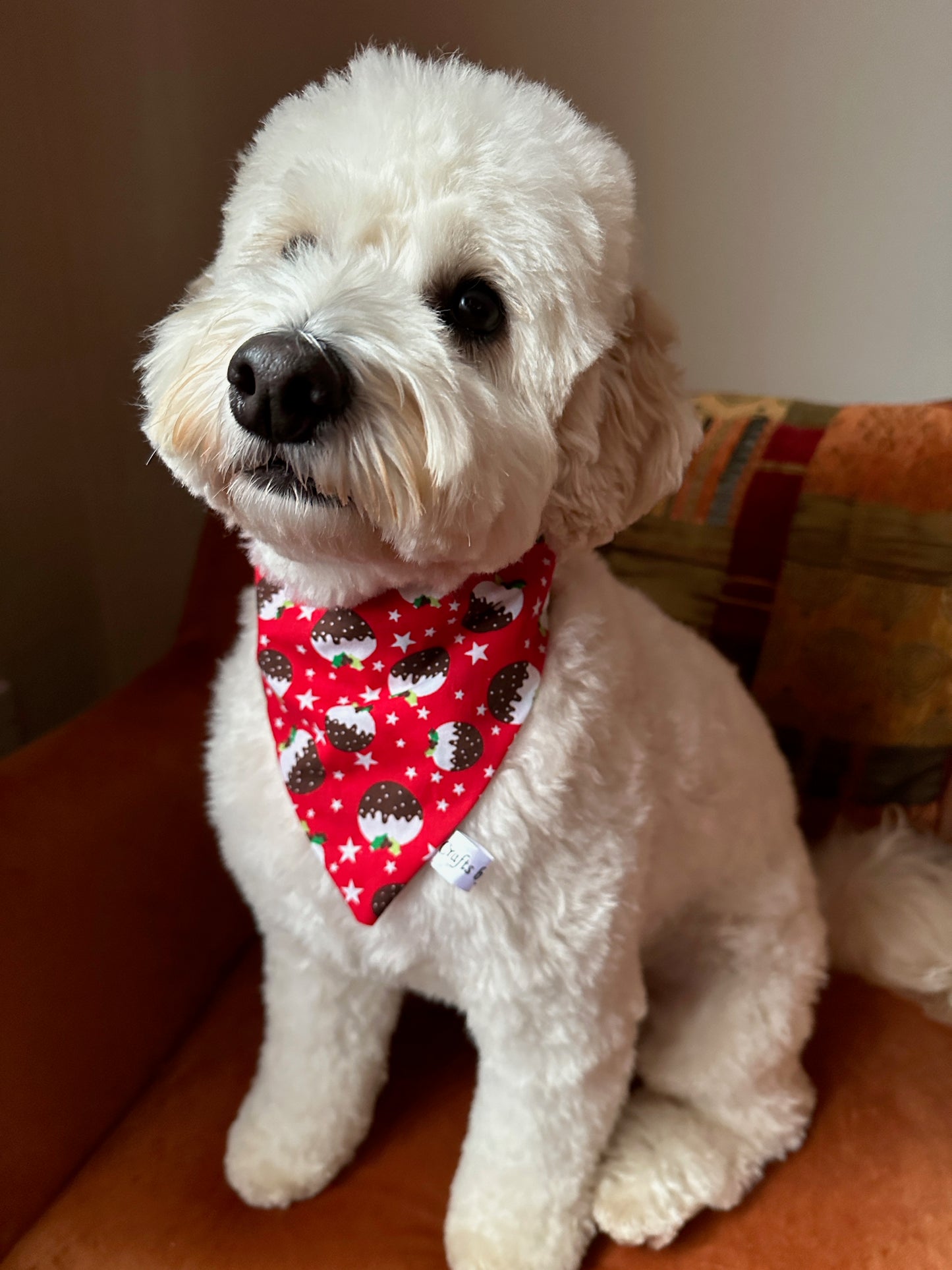 Cotton Pet Scrunchie Bandana - Christmas Pudding
