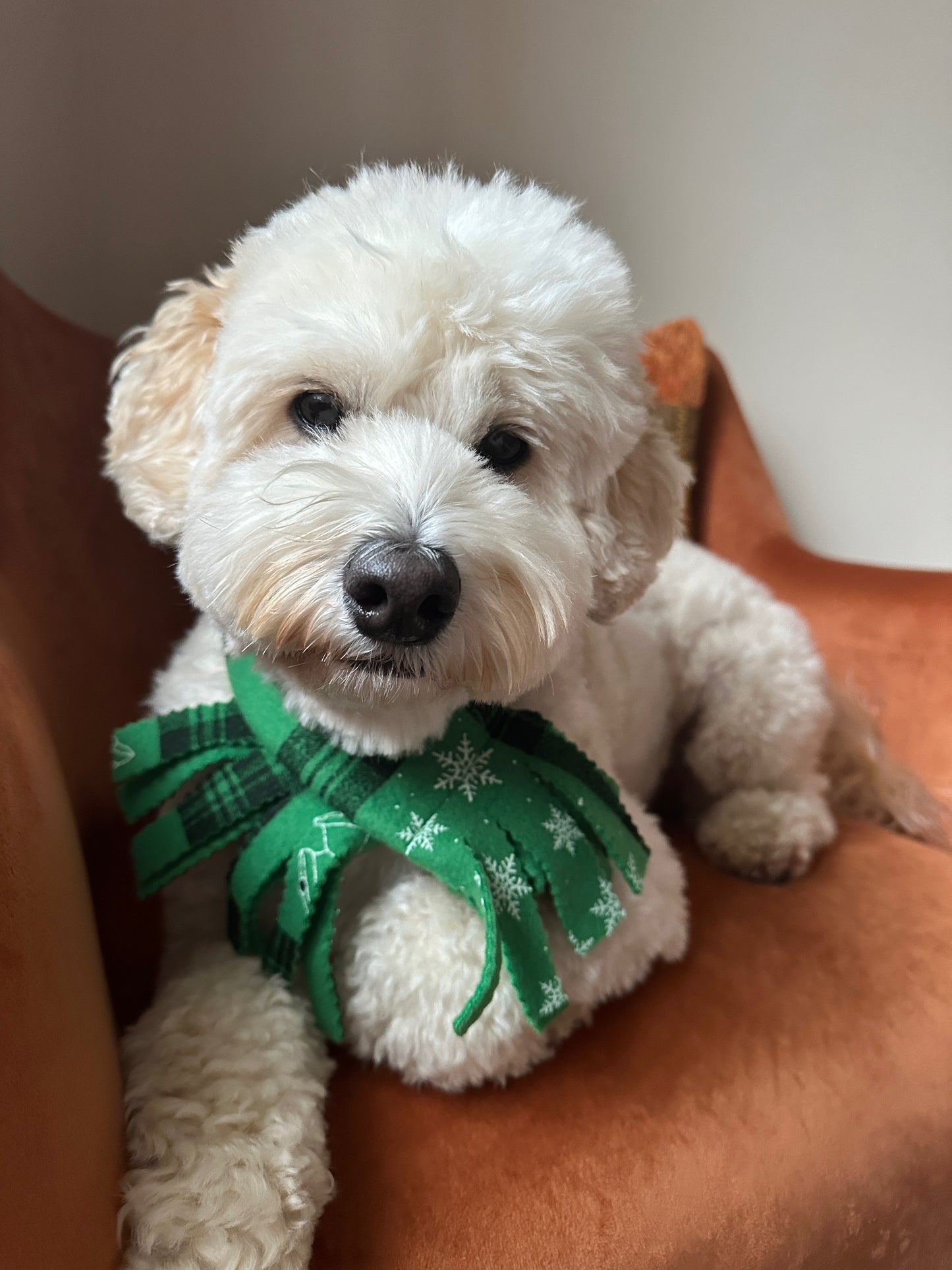 Polar Cotton Fleece Pet Scarf -  Christmas Green