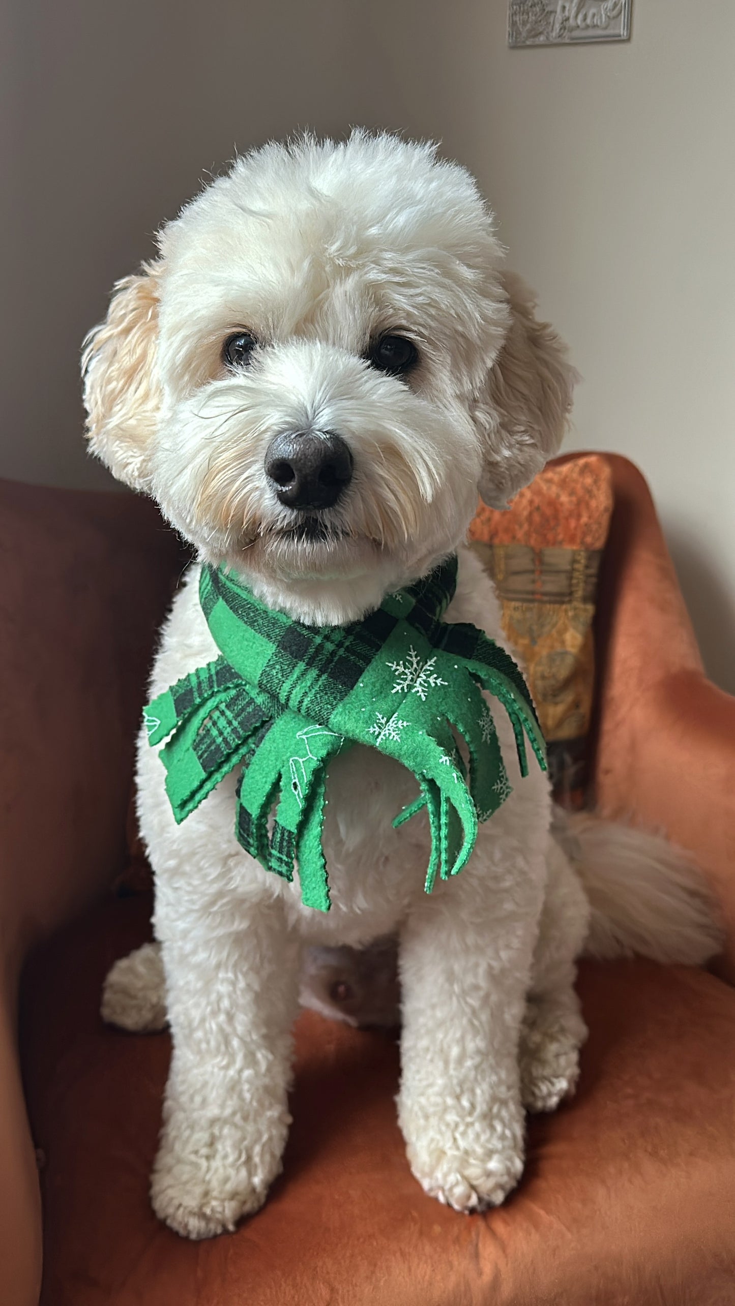 Polar Cotton Fleece Pet Scarf -  Christmas Green