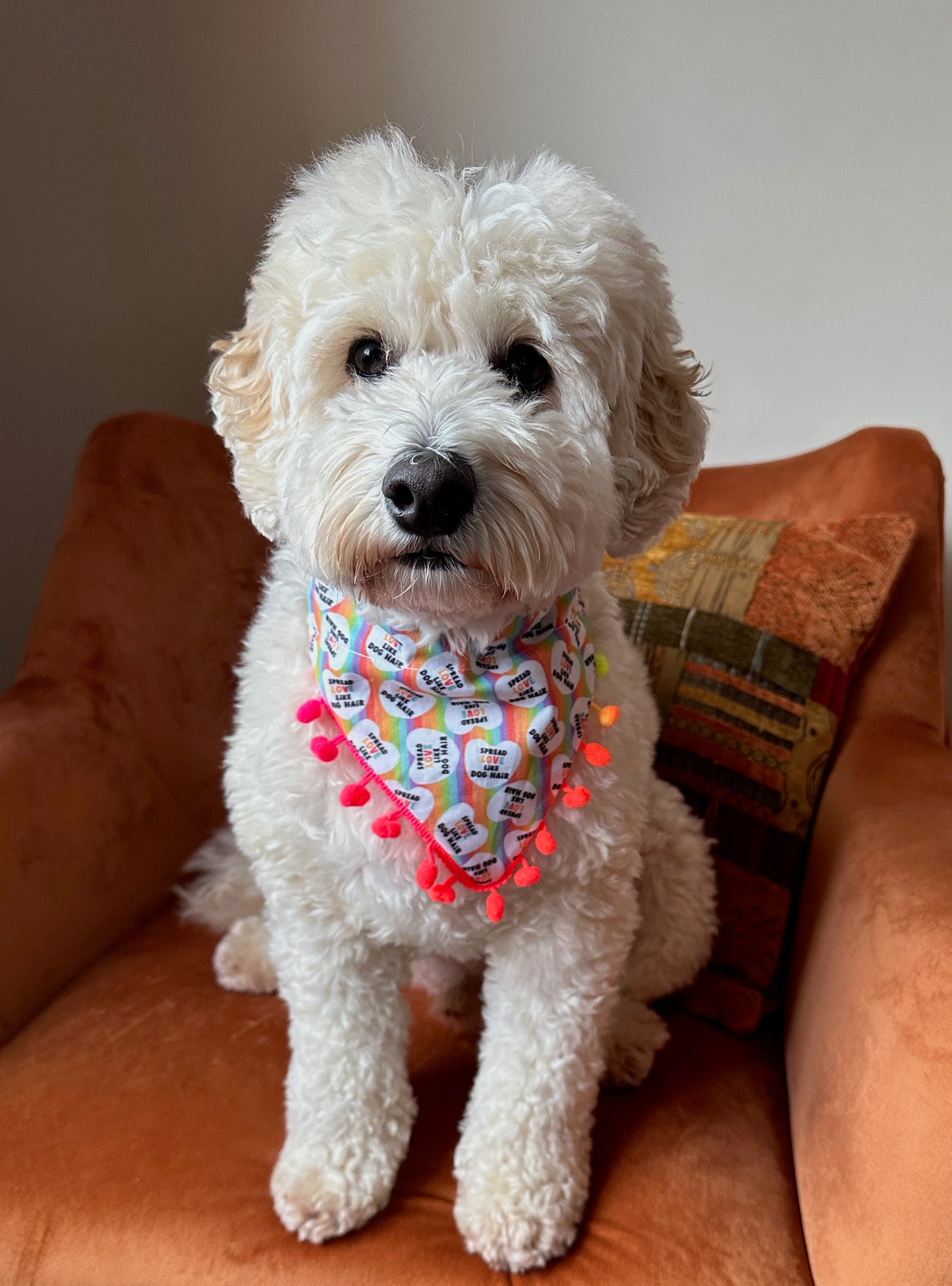 Cotton Pet Bandana with collar attachment - Spread Love like Dog Hairs with pom poms, Rainbow Hearts