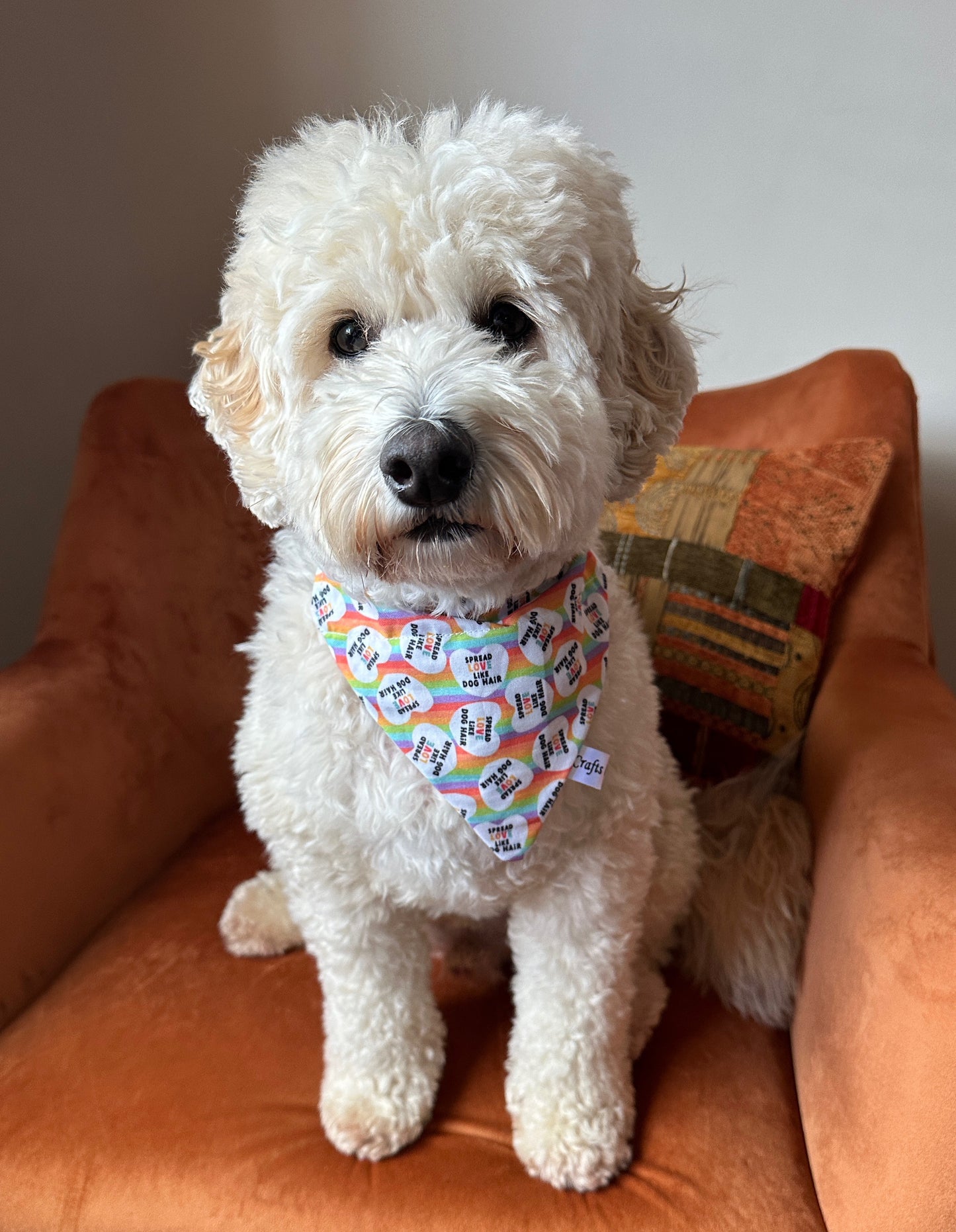 Cotton Pet Bandana with collar attachment - Spread Love like Dog Hairs, Rainbow Hearts