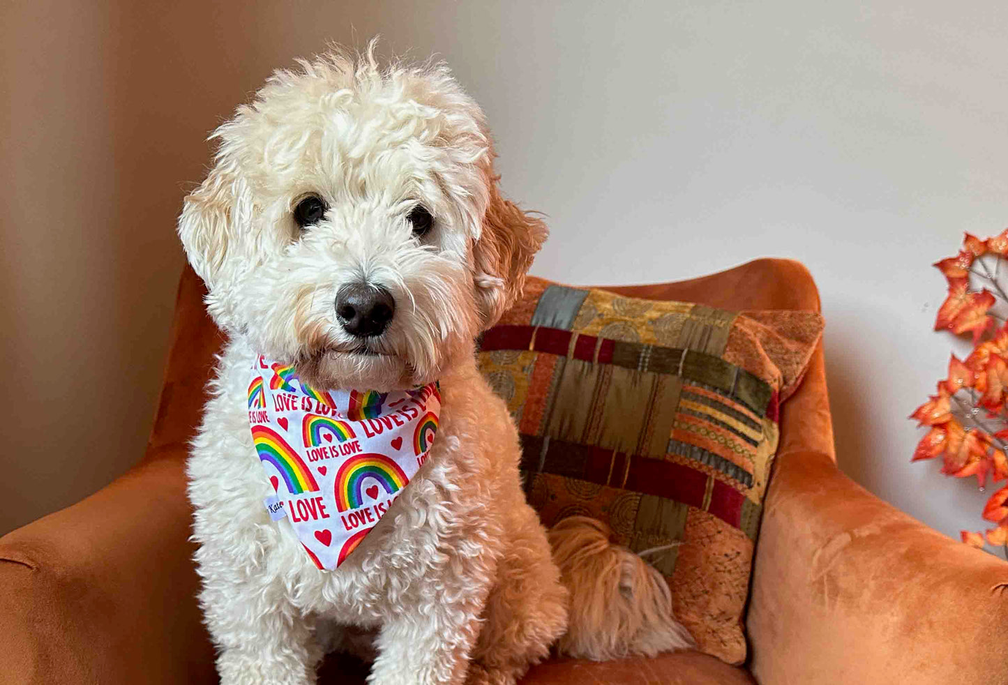 Cotton Pet Bandana with collar attachment - Love is Love
