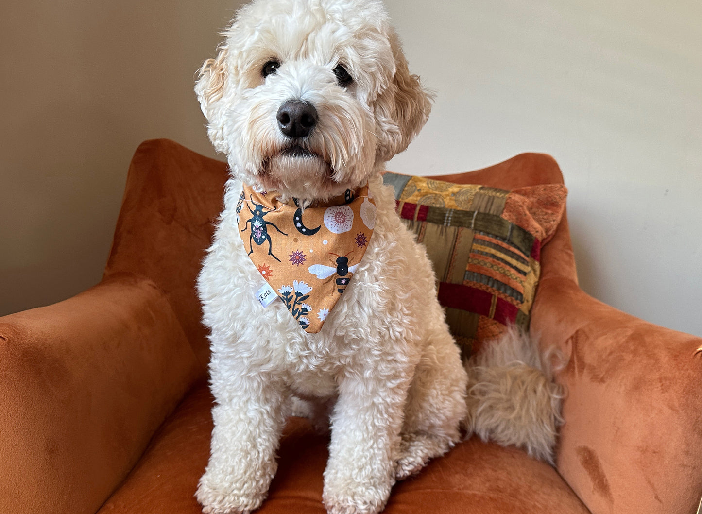 A fluffy white dog sits on an orange armchair, wearing a Crafts by Kate Cotton Pet Bandana with collar attachment in Orange Floral. An intricately patterned pillow enhances the cozy setting in the background.