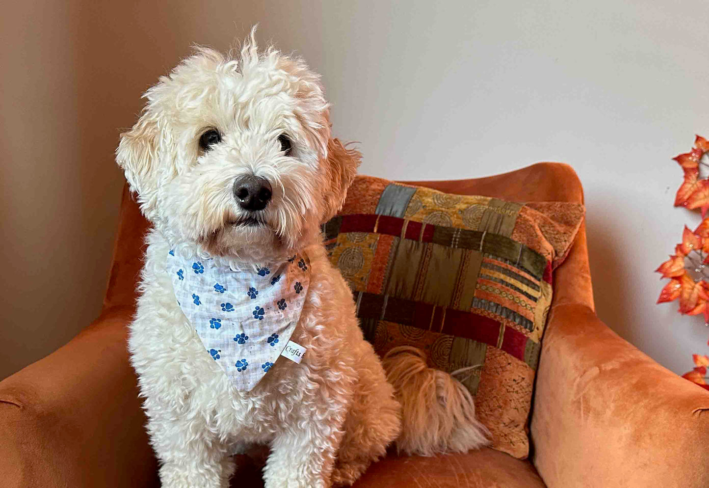 Cotton Pet Bandana with collar attachment - Picnic Blue