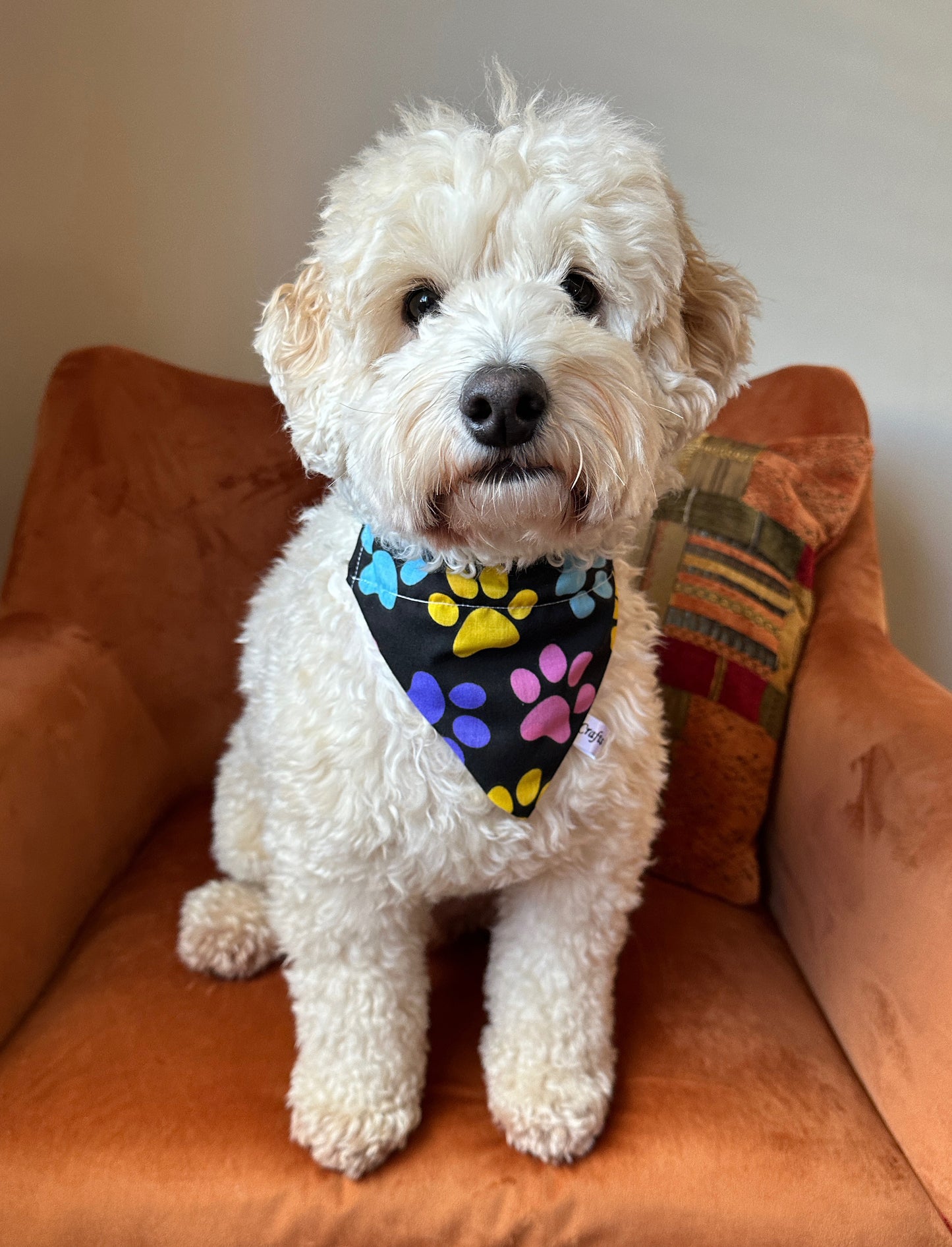 Cotton Pet Bandana with collar attachment - Rainbow Paws