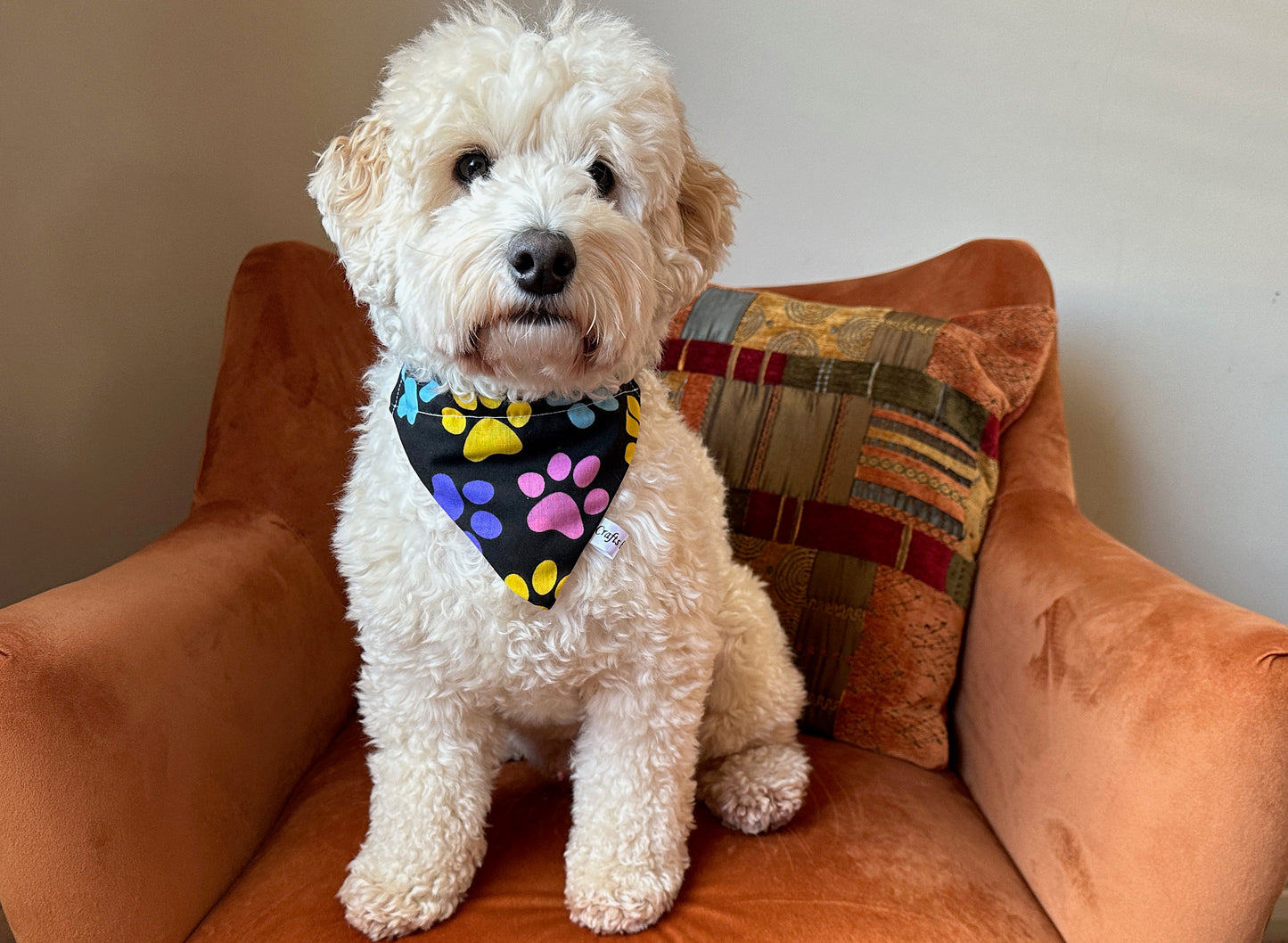 Cotton Pet Bandana with collar attachment - Rainbow Paws