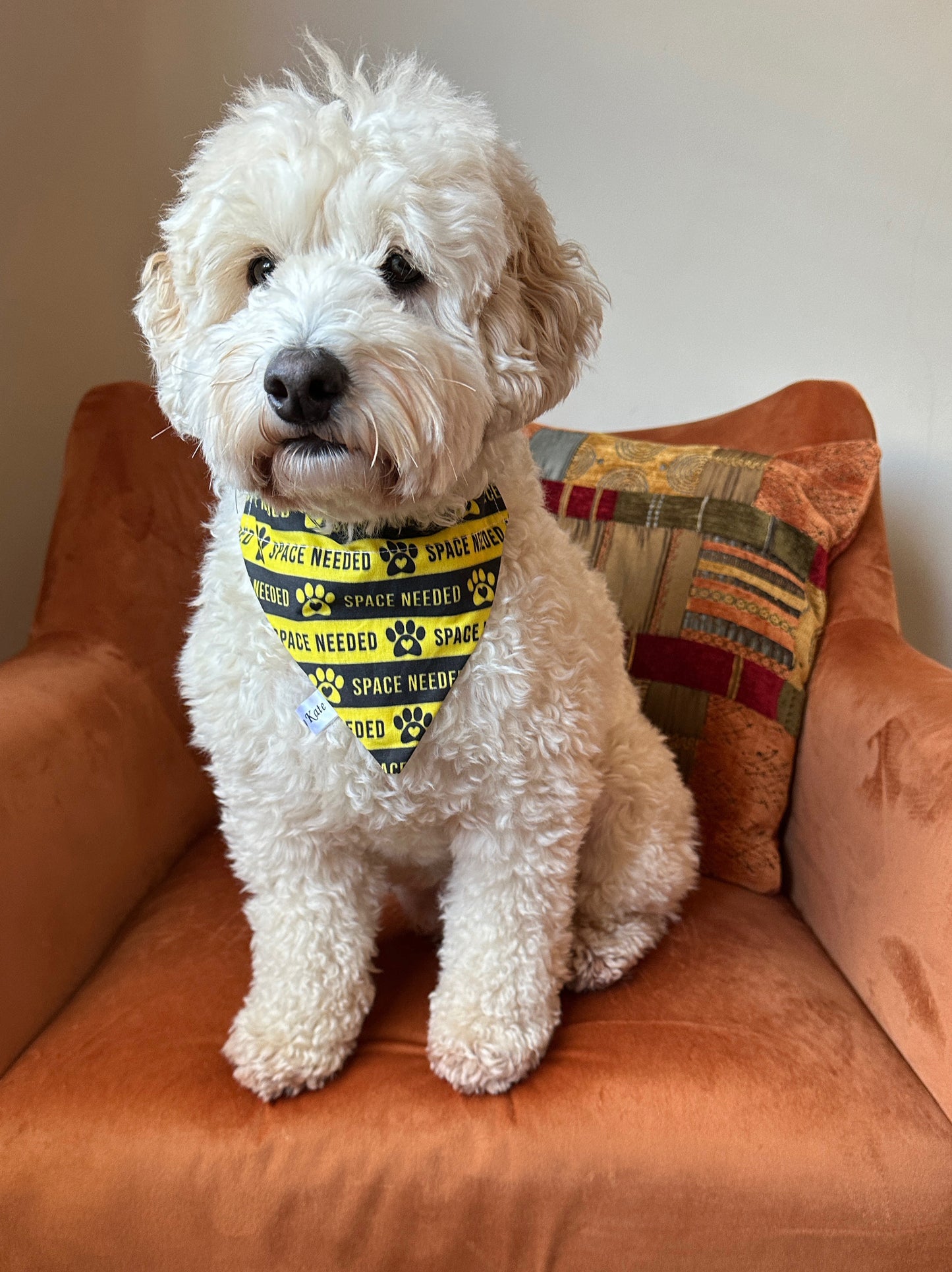 Cotton Pet Bandana with collar attachment - Space Needed