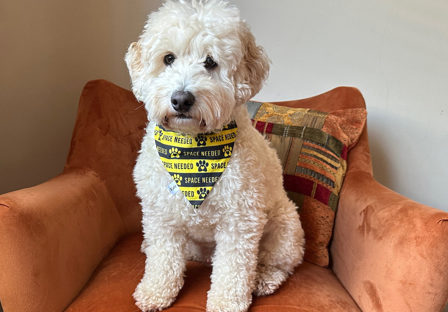 Cotton Pet Bandana with collar attachment - Space Needed