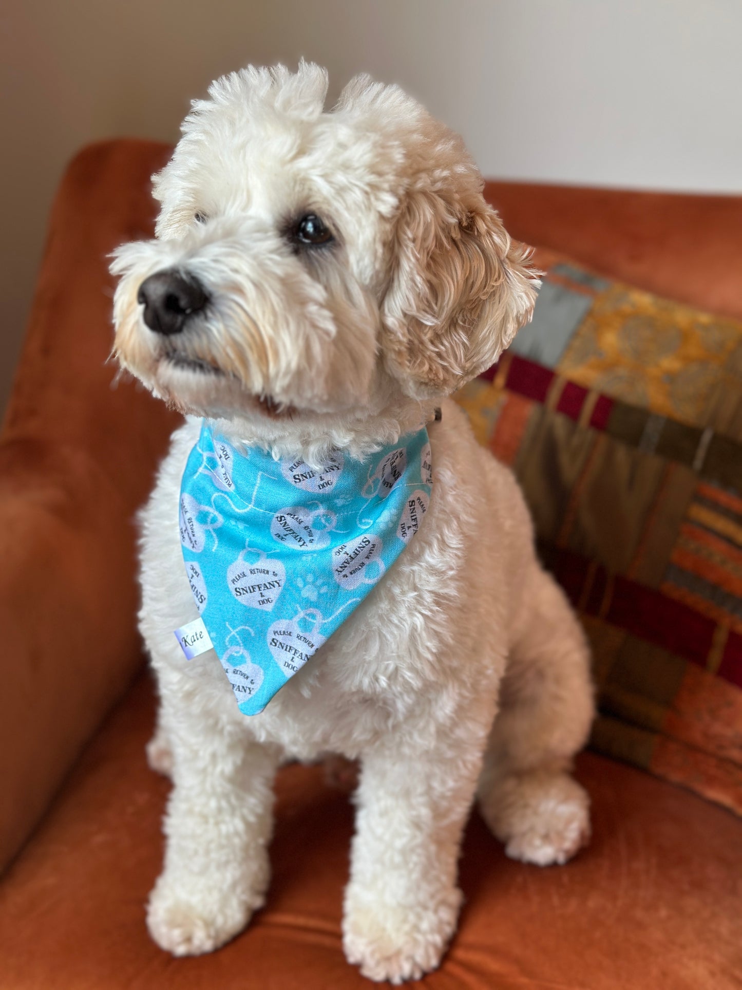 Cotton Pet Bandana with collar attachment - Please Return to Sniffany & Dog