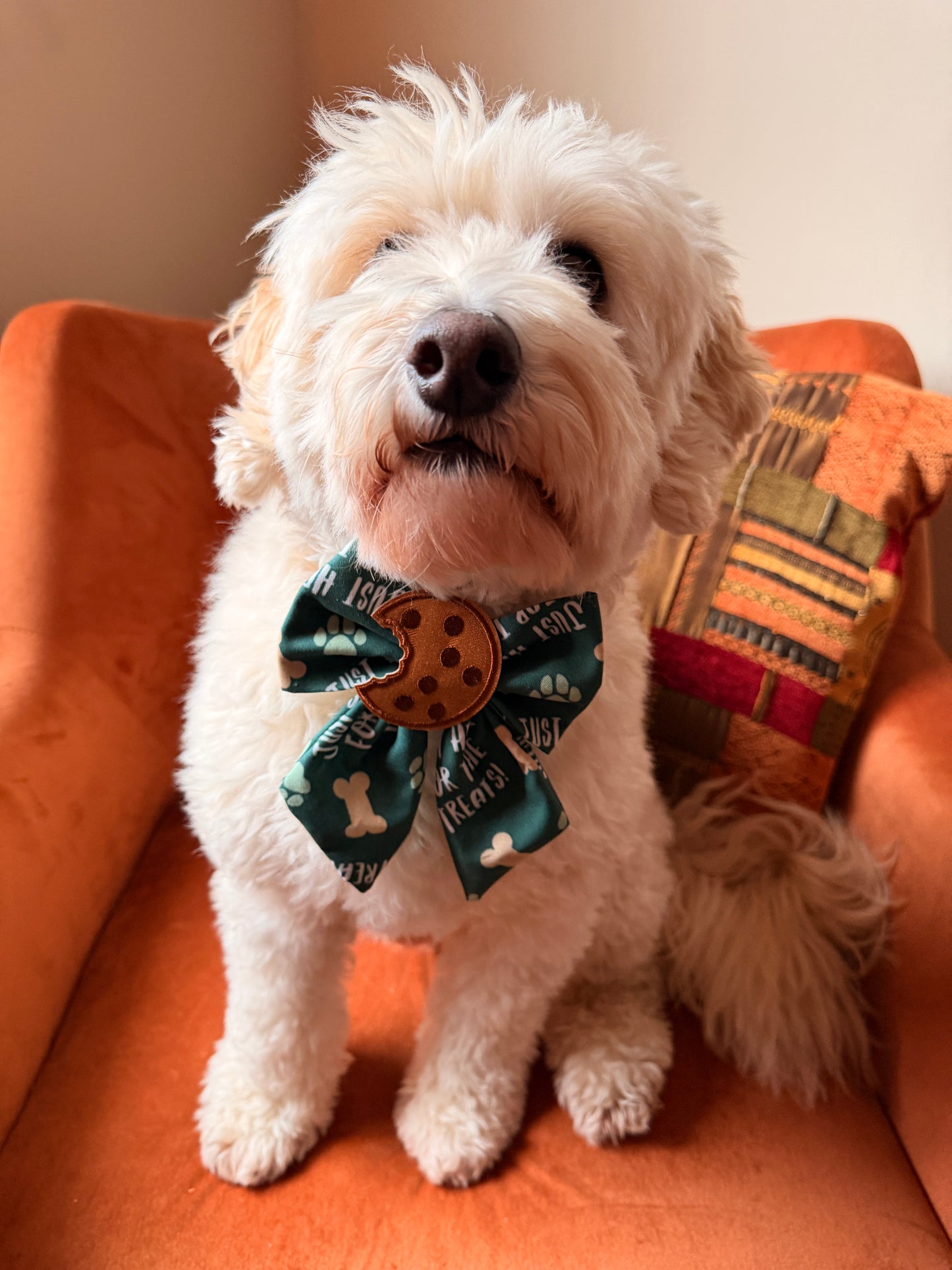 Pet Sailor Bows - Here for the treats