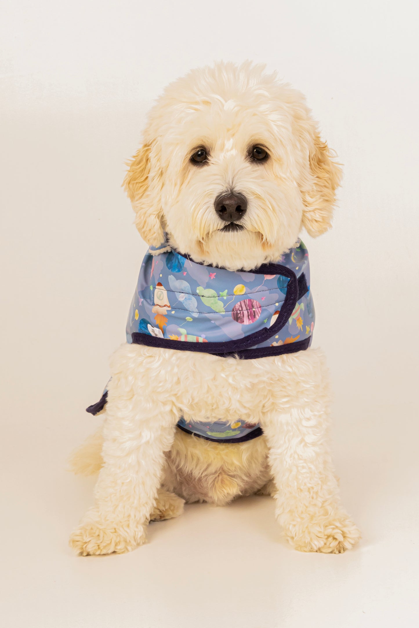 A fluffy cream-colored dog faces forward wearing Crafts by Kate's Space Adventure Pet Raincoat, featuring a blue space-themed design with planets and astronauts, a custom harness hole, and set against a plain light background.