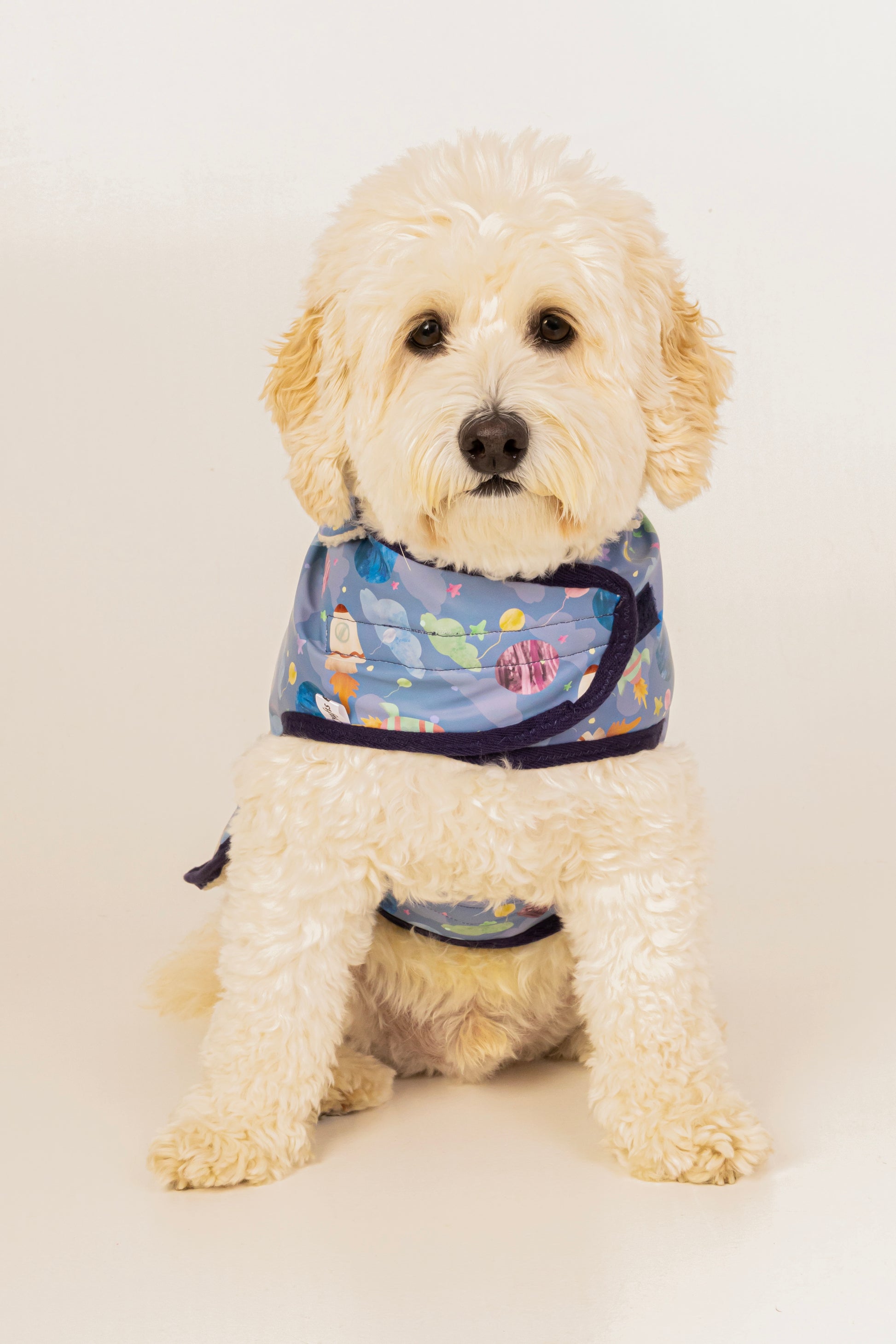 A fluffy cream-colored dog faces forward wearing Crafts by Kate's Space Adventure Pet Raincoat, featuring a blue space-themed design with planets and astronauts, a custom harness hole, and set against a plain light background.