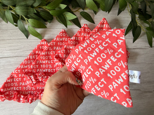 Cotton Pet Scrunchie Bandana - 100% Pawfect