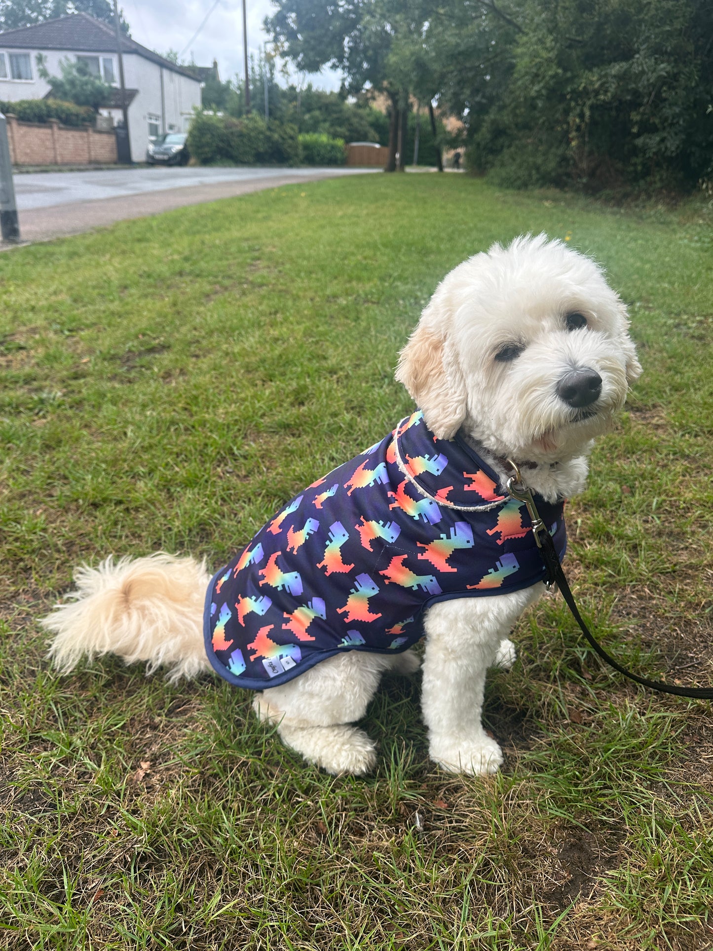 A fluffy white dog sits on grass, wearing the Crafts by Kate Rainbow Dinosaur Pet Raincoat with a custom harness hole and leash attached, looking at the camera. Trees and houses are visible in the background.