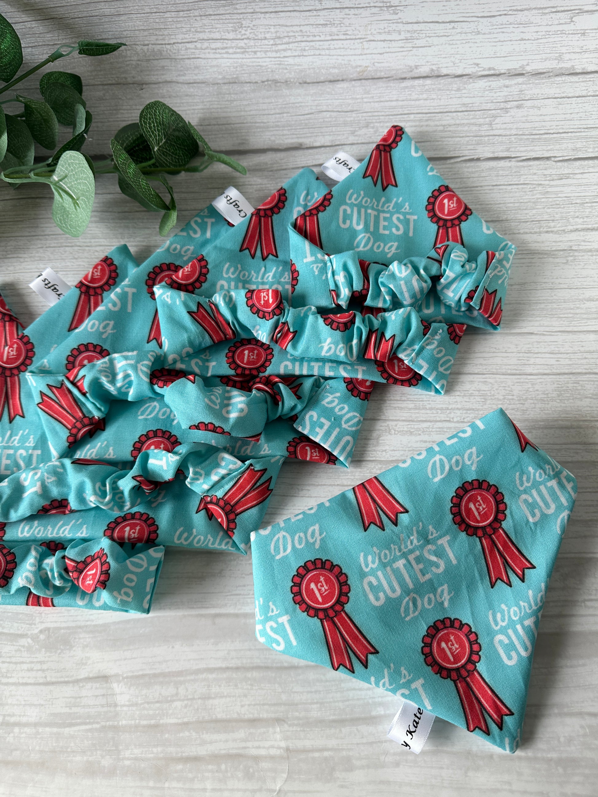 Five teal Crafts by Kate Cotton Pet Scrunchie Bandana accessories, each with red award ribbons and "World’s Cutest Dog" text, are displayed on light wood. A green plant appears in the upper left corner.