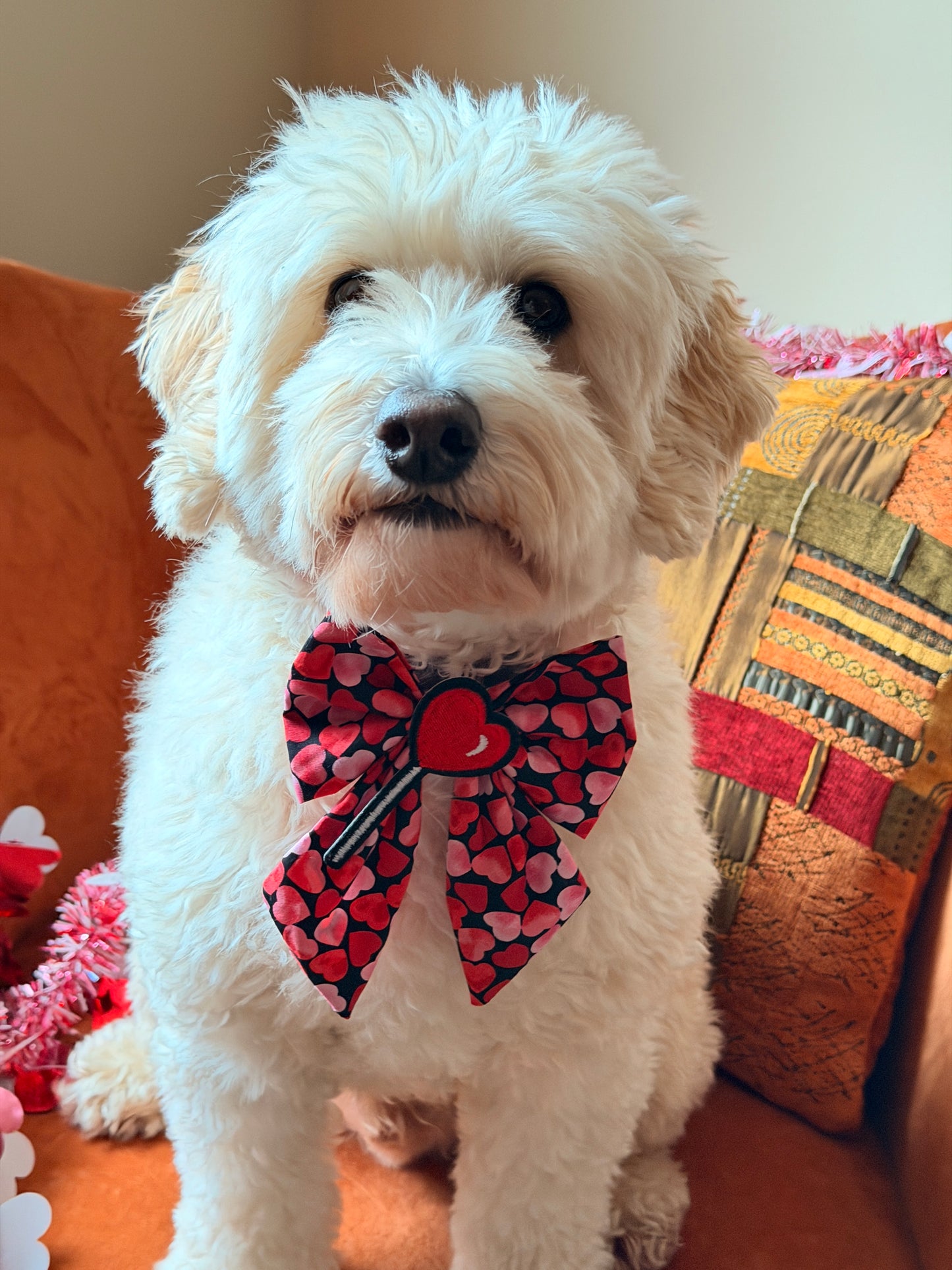 Pet Sailor Bows - Be my valentine