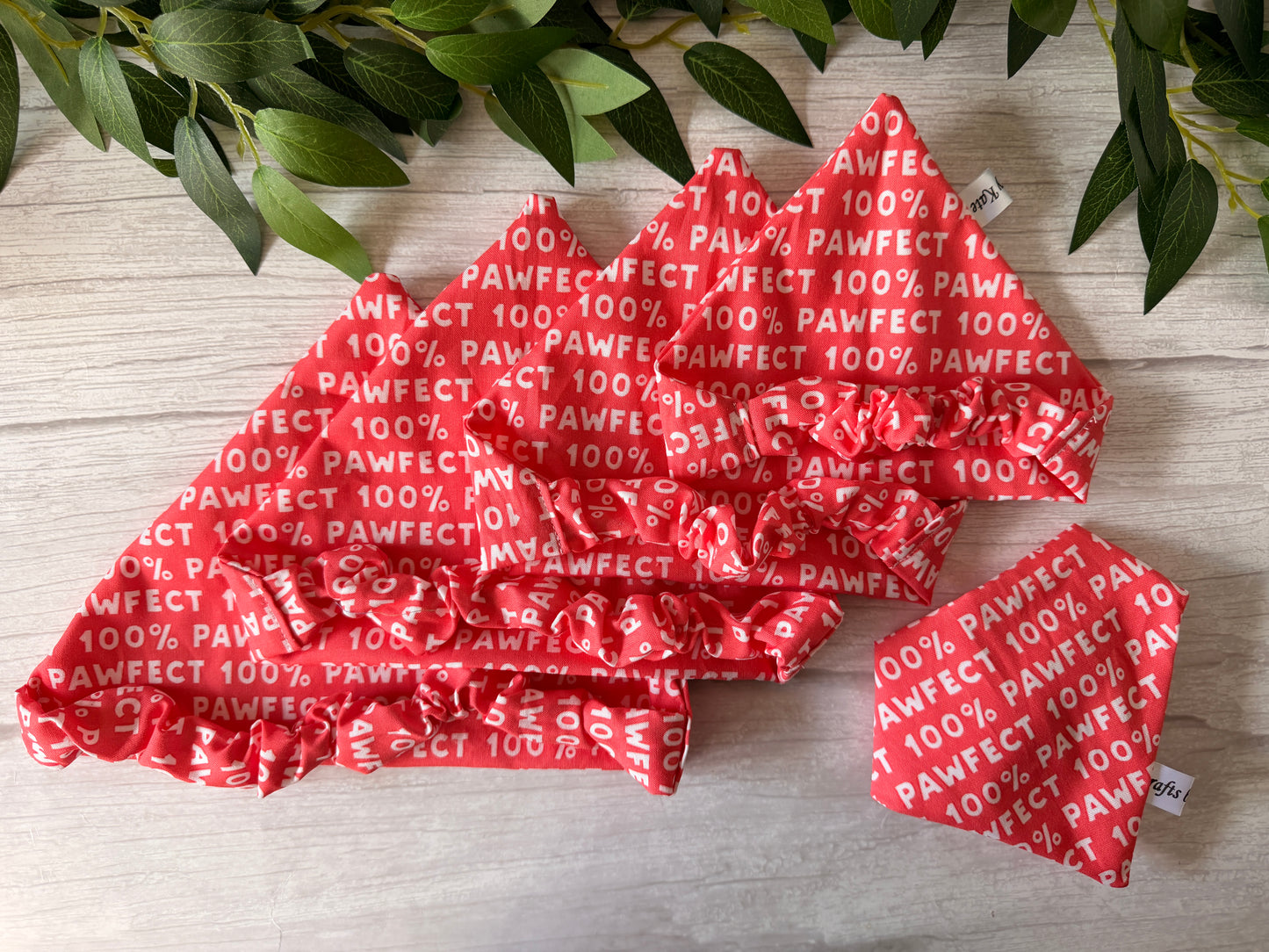Cotton Pet Scrunchie Bandana - 100% Pawfect