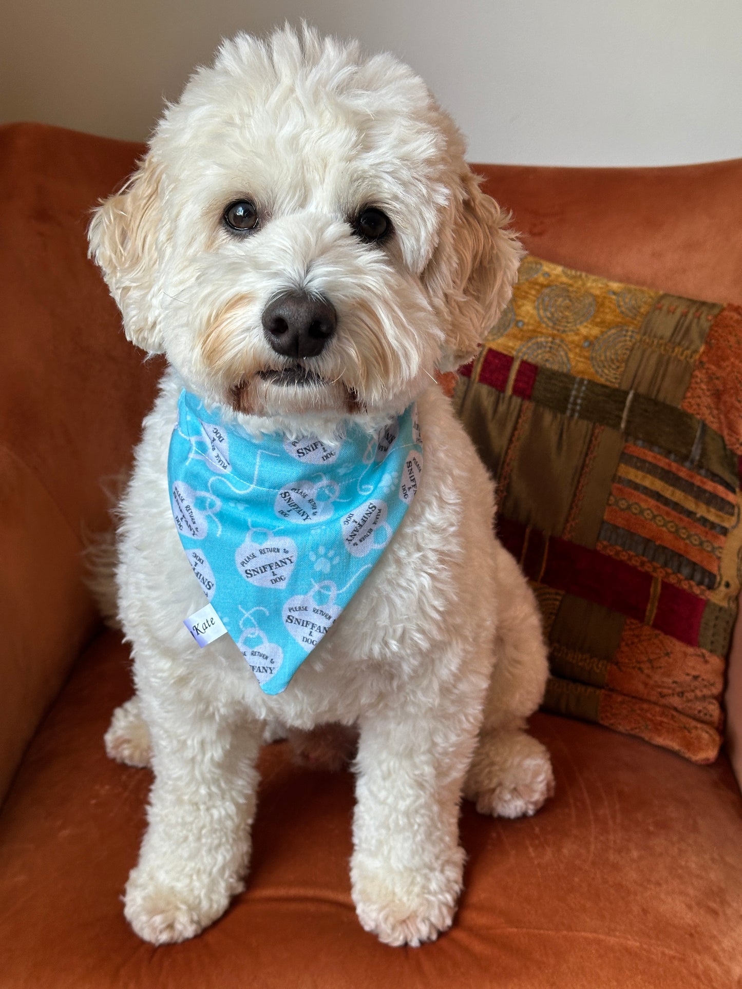 Cotton Pet Bandana with collar attachment - Please Return to Sniffany & Dog