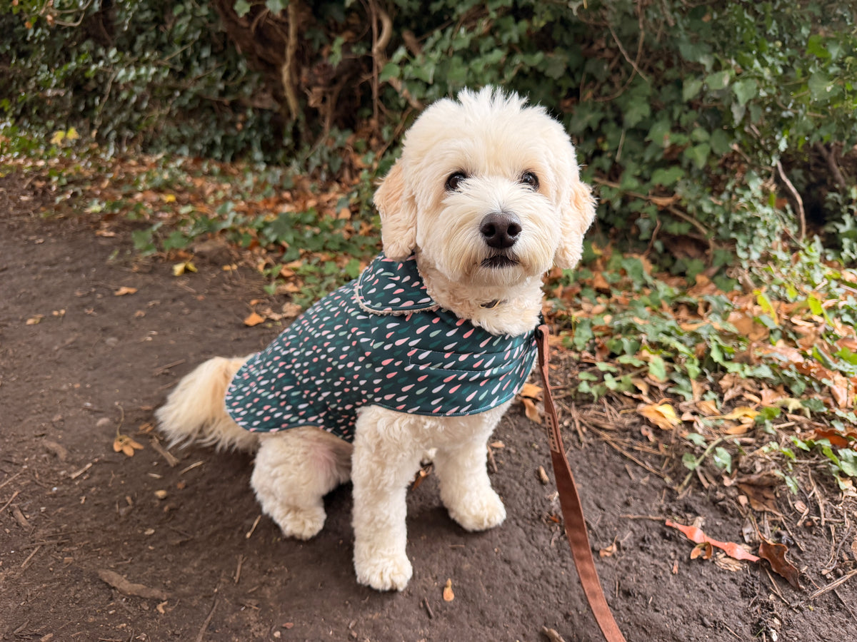 Raindrop Pet Raincoat