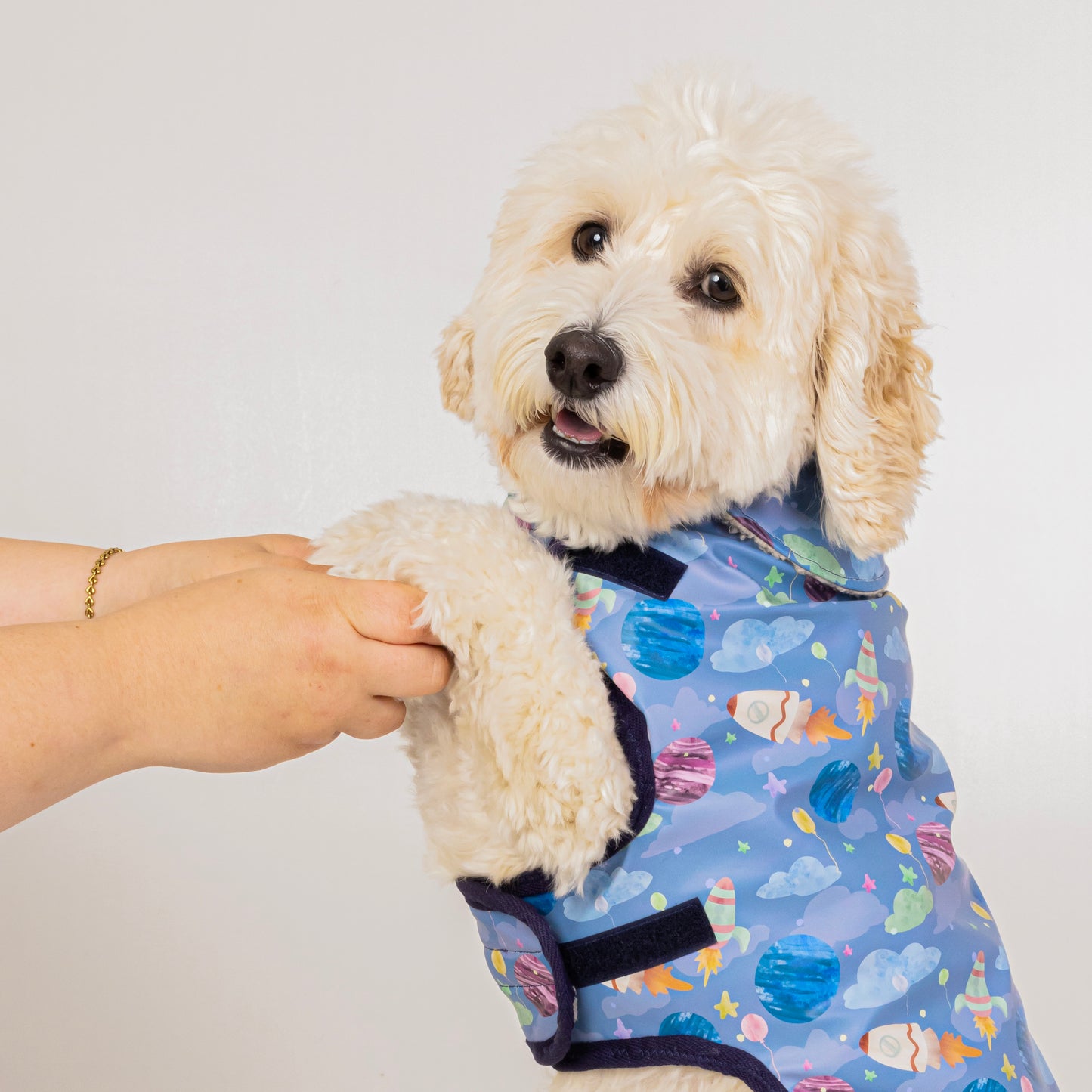 A fluffy, light-colored dog in the Crafts by Kate Space Adventure Pet Raincoat with a harness hole shakes hands with a person against a plain white background.