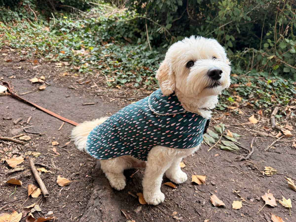 Raindrop Pet Raincoat