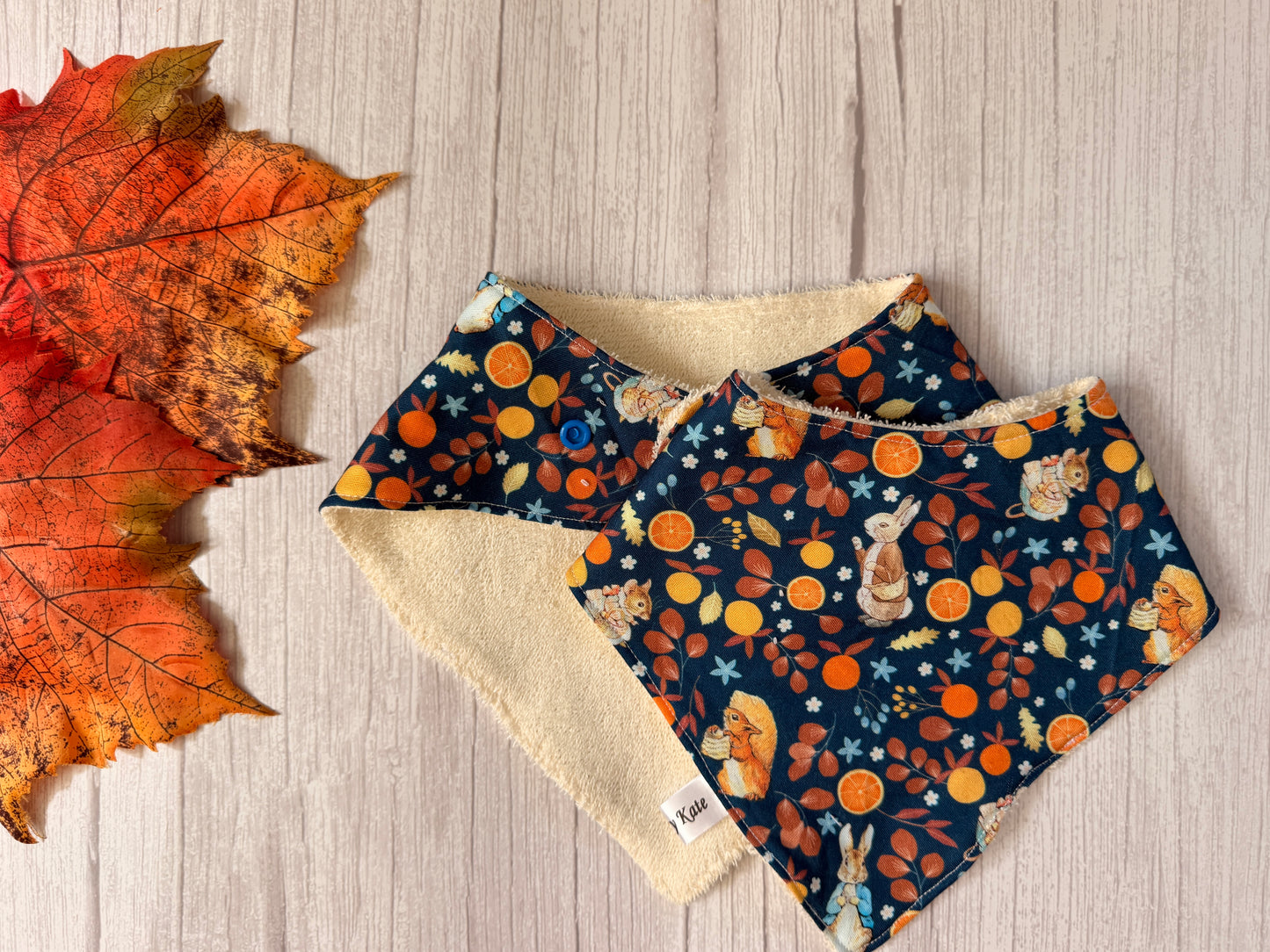 Cotton & Terry Towelling Baby Bibs - Autumn Peter Rabbit & friends