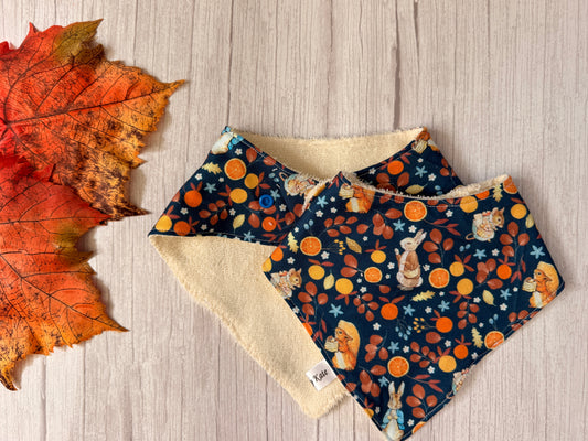 Cotton & Terry Towelling Baby Bibs - Autumn Peter Rabbit & friends