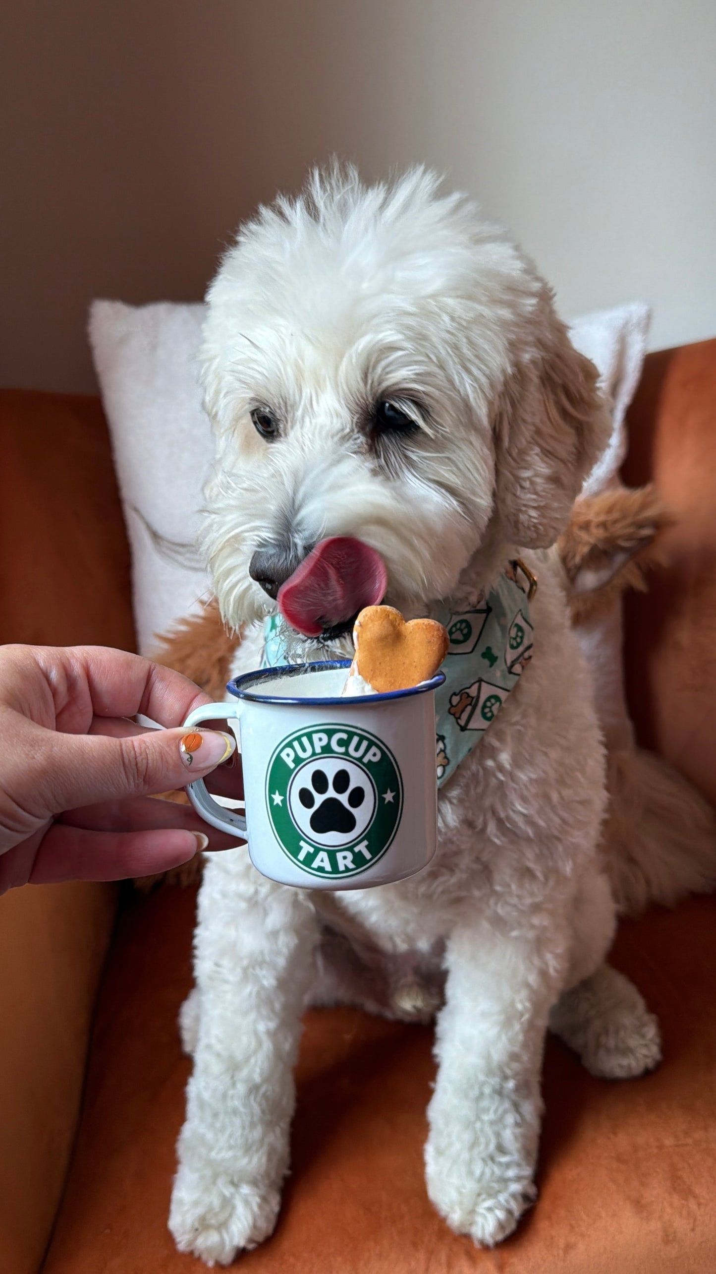 Pupcup Cups