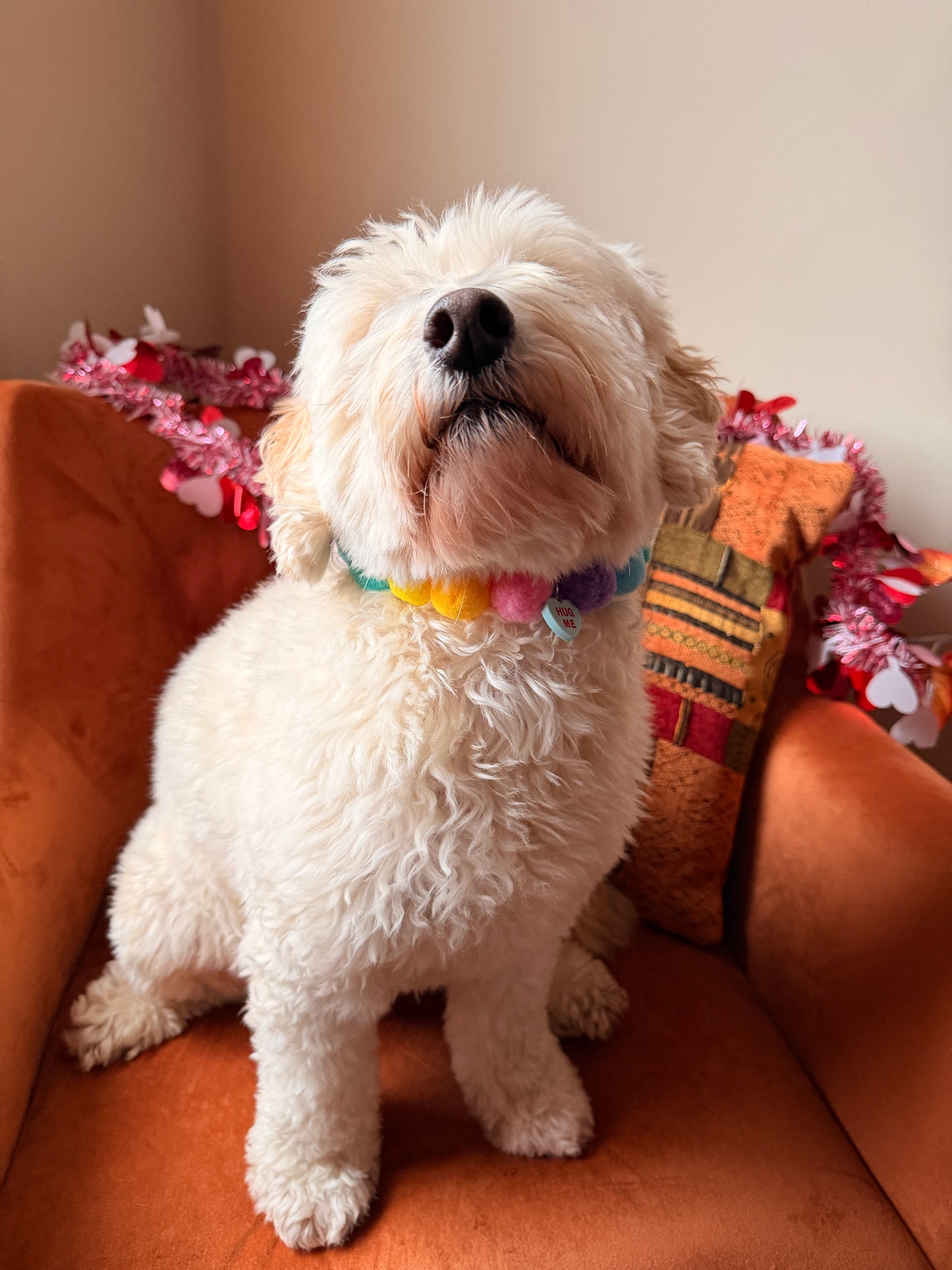 PomPom Pet Collar - Love hearts