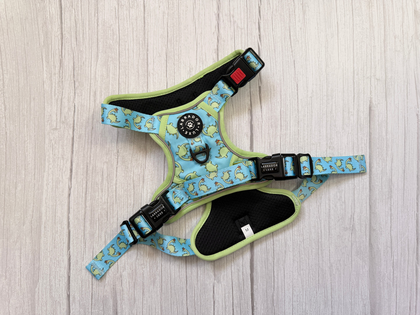 Bailey - Explorer Harness