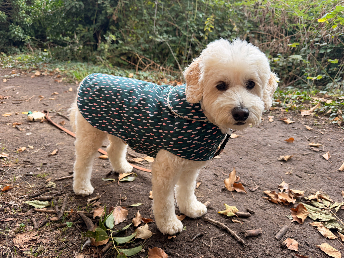 Raindrop Pet Raincoat