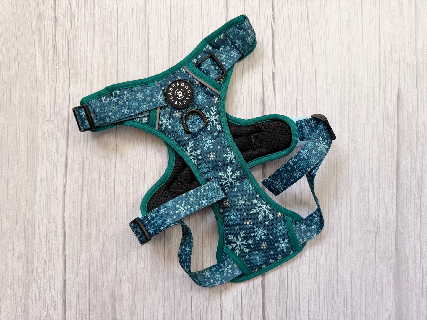 Monty - Explorer Harness