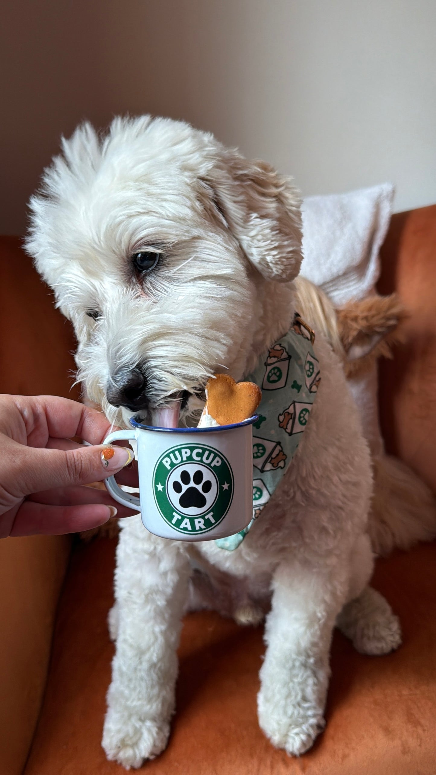 Pupcup Cups