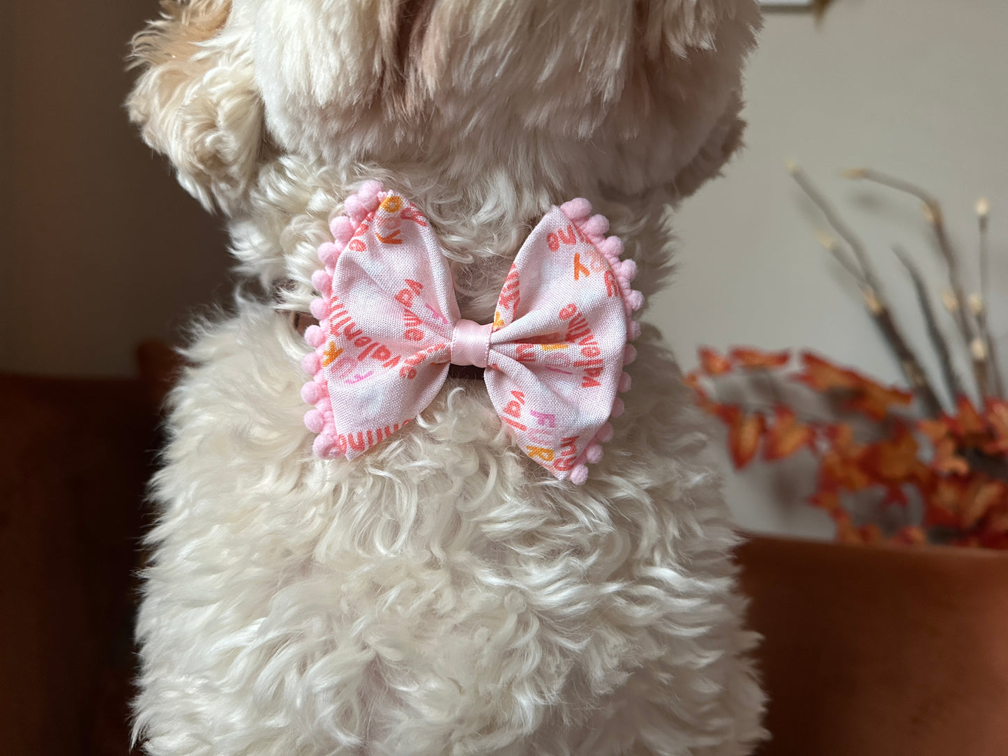 Cotton Pet Bow with collar attachment - My Fluffy Valentine