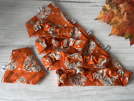 Cotton Pet Scrunchie Bandana - Fall with Peter & Friends