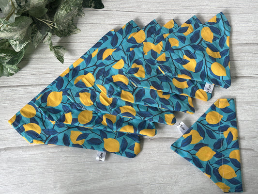 Cotton Pet Bandana with collar attachment - I still live with my parents