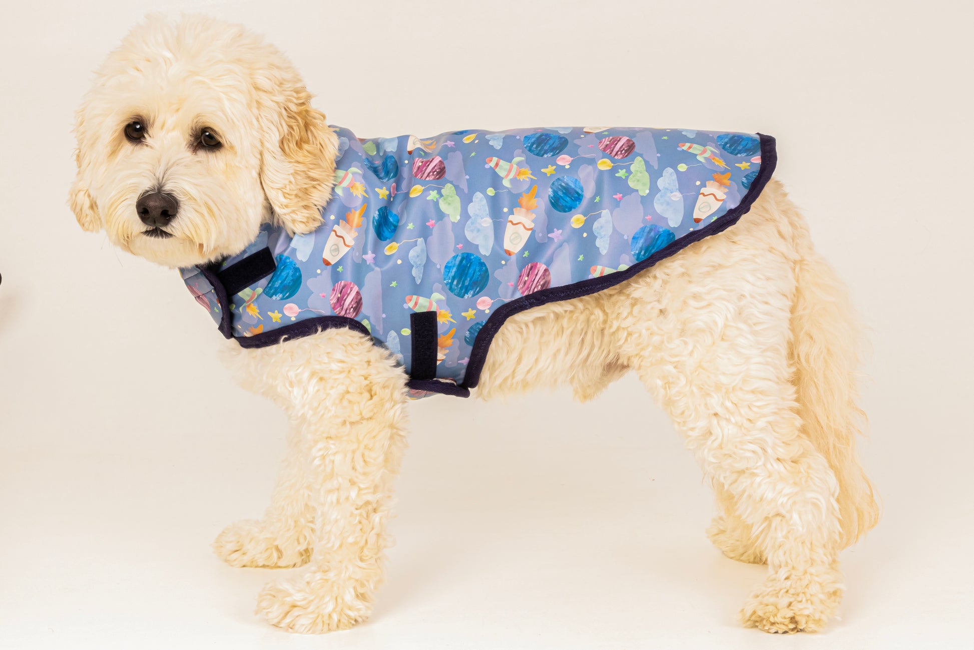 A fluffy cream-colored dog faces left against a plain light background, wearing the Crafts by Kate Space Adventure Pet Raincoat—a blue waterproof coat with colorful outer space-themed patterns.