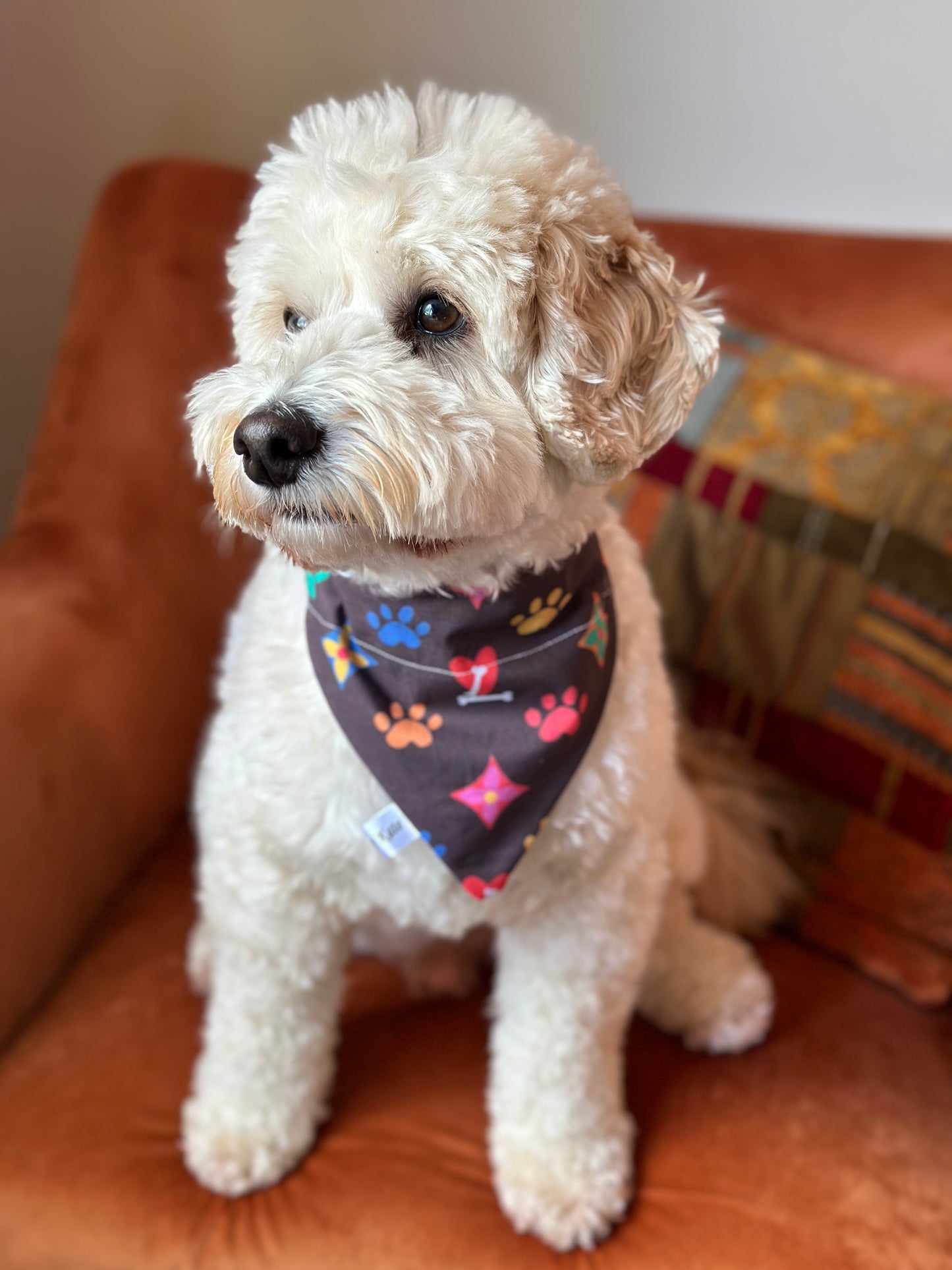 Cotton Pet Bandana with collar attachment - Louis "Paw"ton (Rainbow)