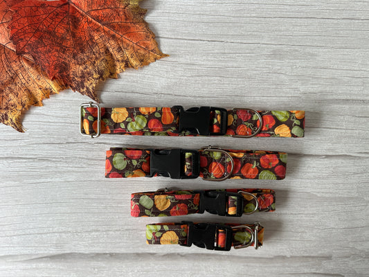 Four Cotton Pet Adjustable Collars - Pumpkin Lover from Crafts by Kate are laid out on a light wooden surface. These handcrafted cotton collars feature a fall-themed design with colorful leaves and pumpkins. A fallen autumn leaf is placed beside the rows of collars, enhancing the seasonal theme.