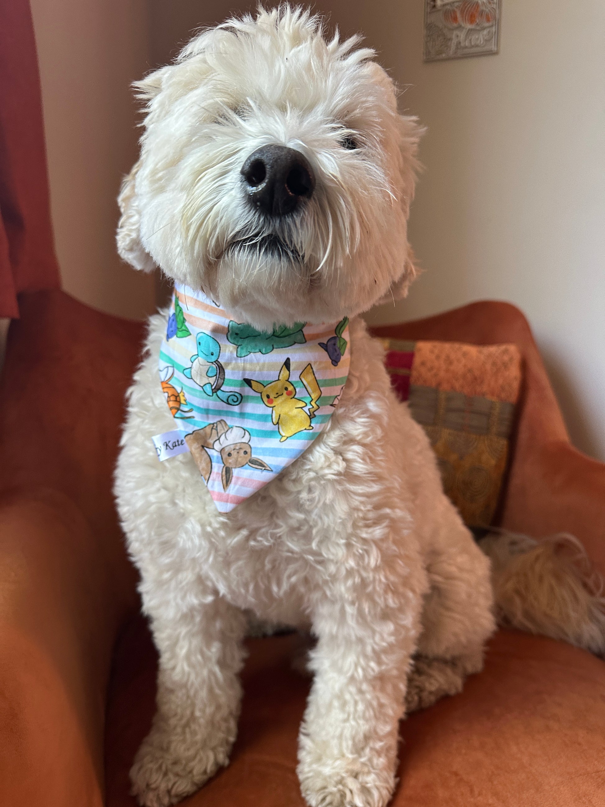 A fluffy white dog sits on an orange chair, wearing the Cotton Pet Scrunchie Bandana - Pokemon by Crafts by Kate, featuring Pikachu and Squirtle. The dog looks up with a friendly expression.